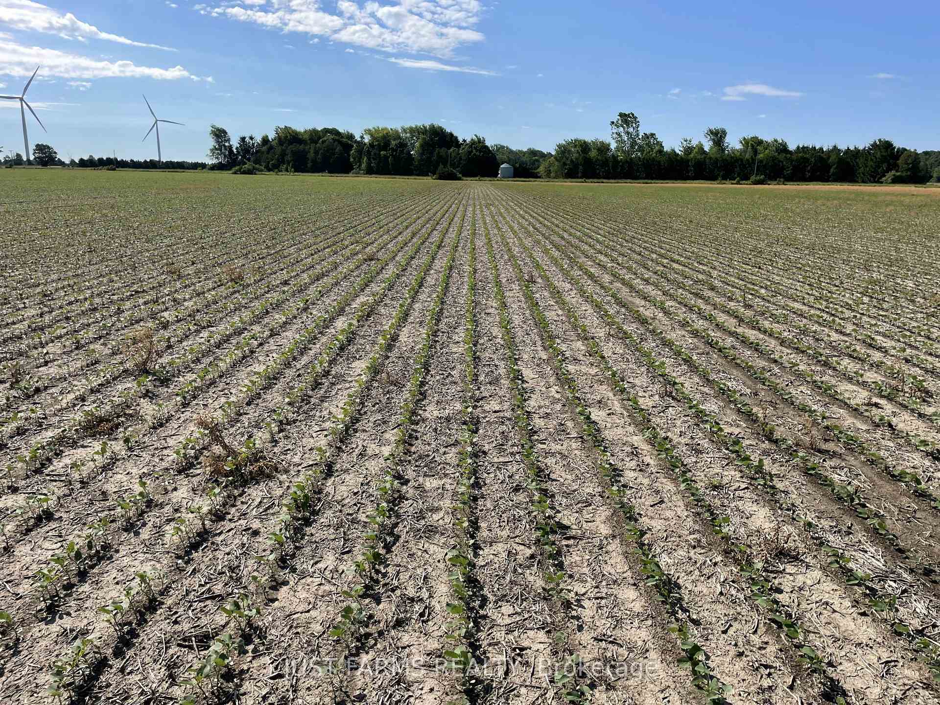 Photo 6 of LT 26&27 Third Concession Line, Chatham-Kent, Romney — HOMEH