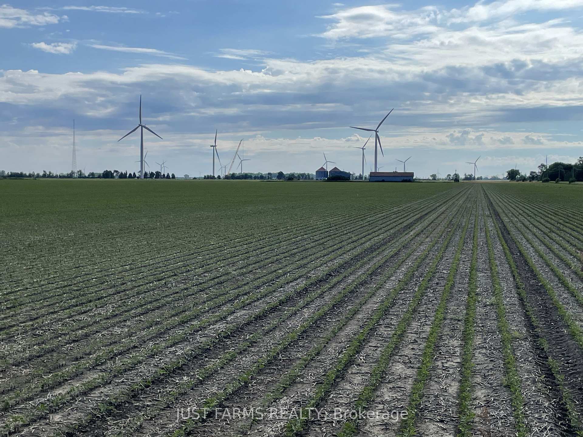 Photo 7 of LT 26&27 Third Concession Line, Chatham-Kent, Romney — HOMEH