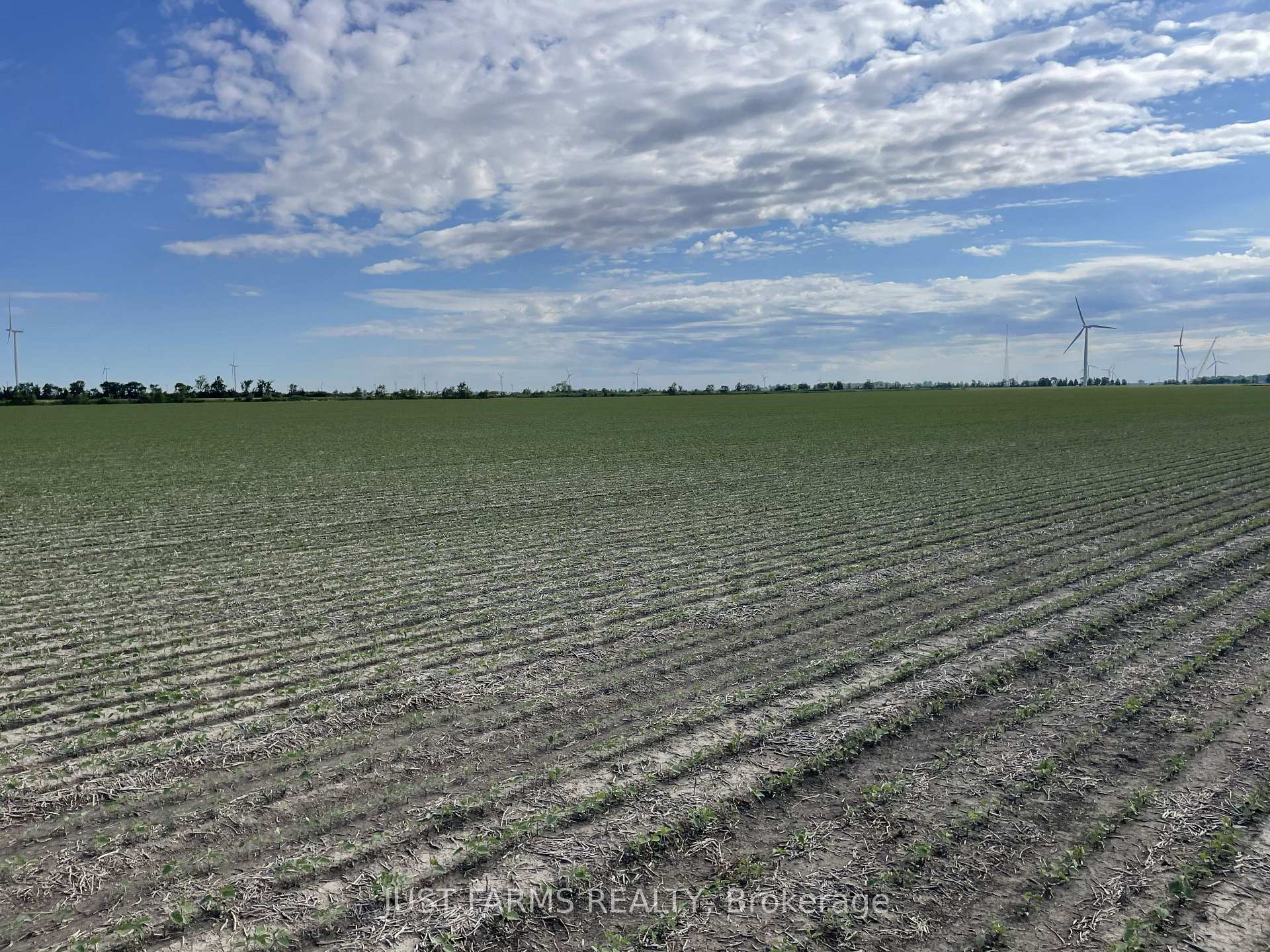 Photo 8 of LT 26&27 Third Concession Line, Chatham-Kent, Romney — HOMEH