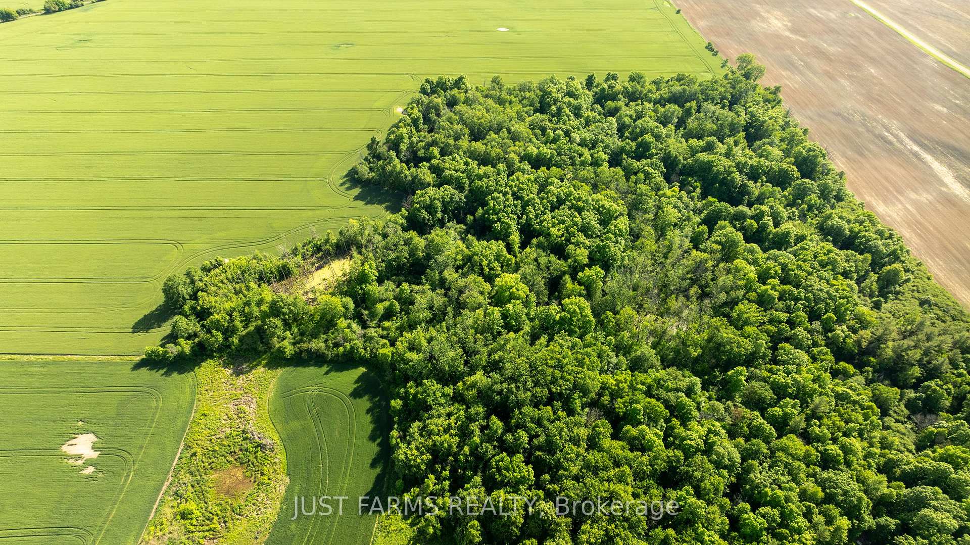 Photo 15 of PT LT 15 Longwoods Road, Southwest Middlesex, Rural Southwest Middlesex — HOMEH