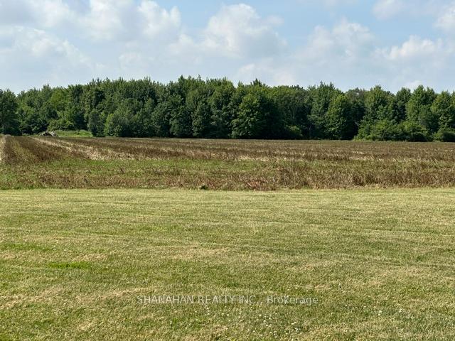 Photo 45 of 583 Gould Road, Dawn-Euphemia, Dawn Euphemia — HOMEH