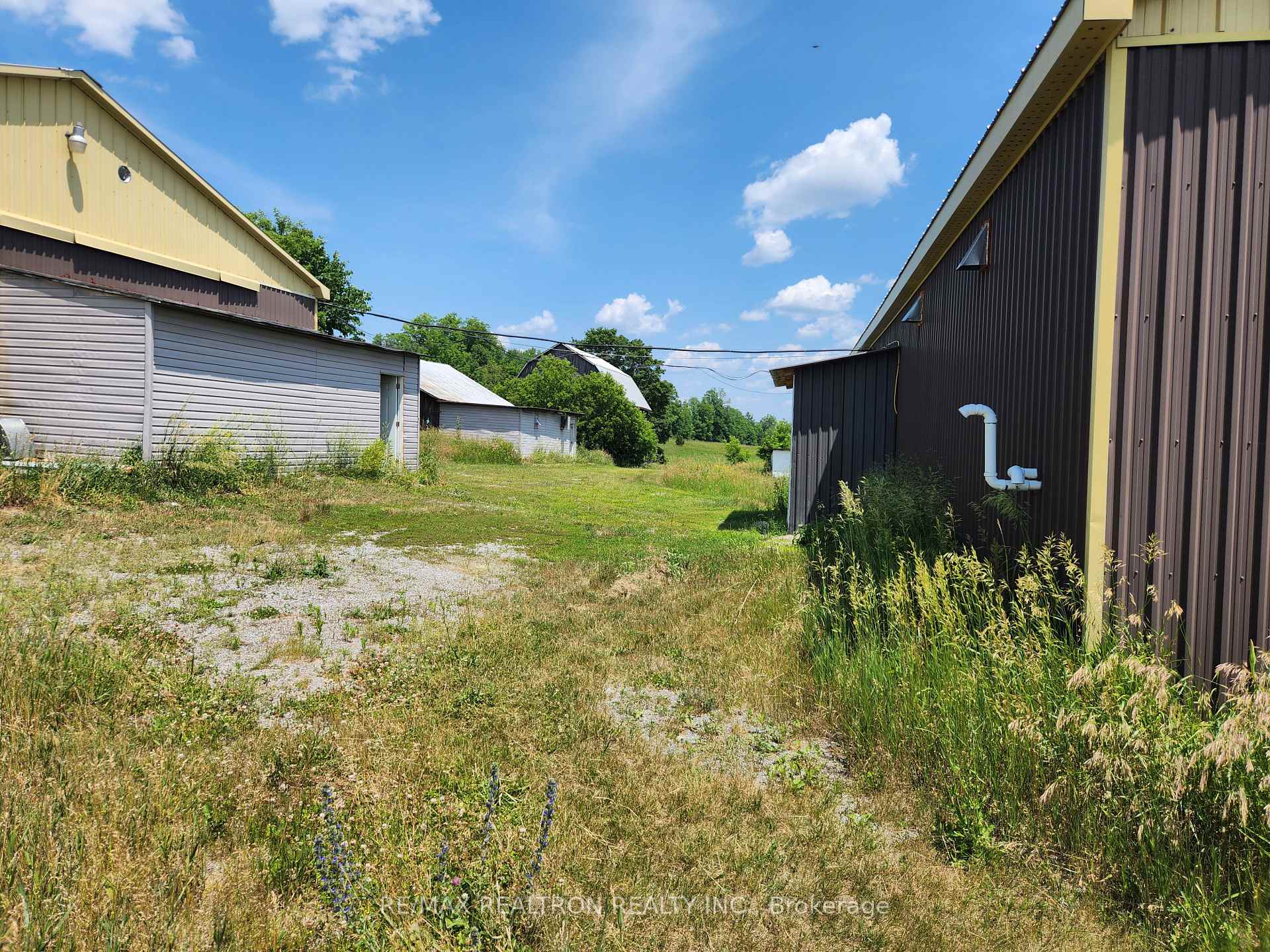 Photo 7 of 887 County 48 Road E, Havelock-Belmont-Methuen, Havelock — HOMEH