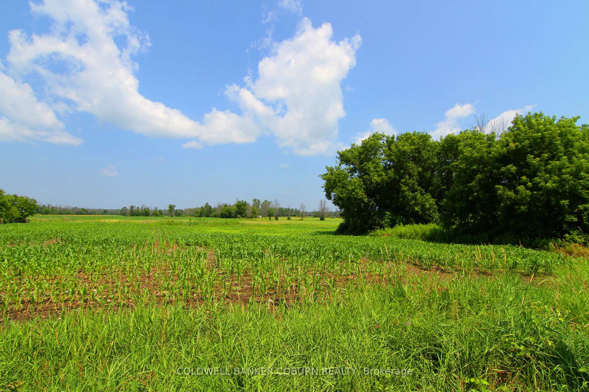 Photo 11 of Nudell Bush Road, South Dundas, South Dundas (Williamsburgh) Twp — HOMEH