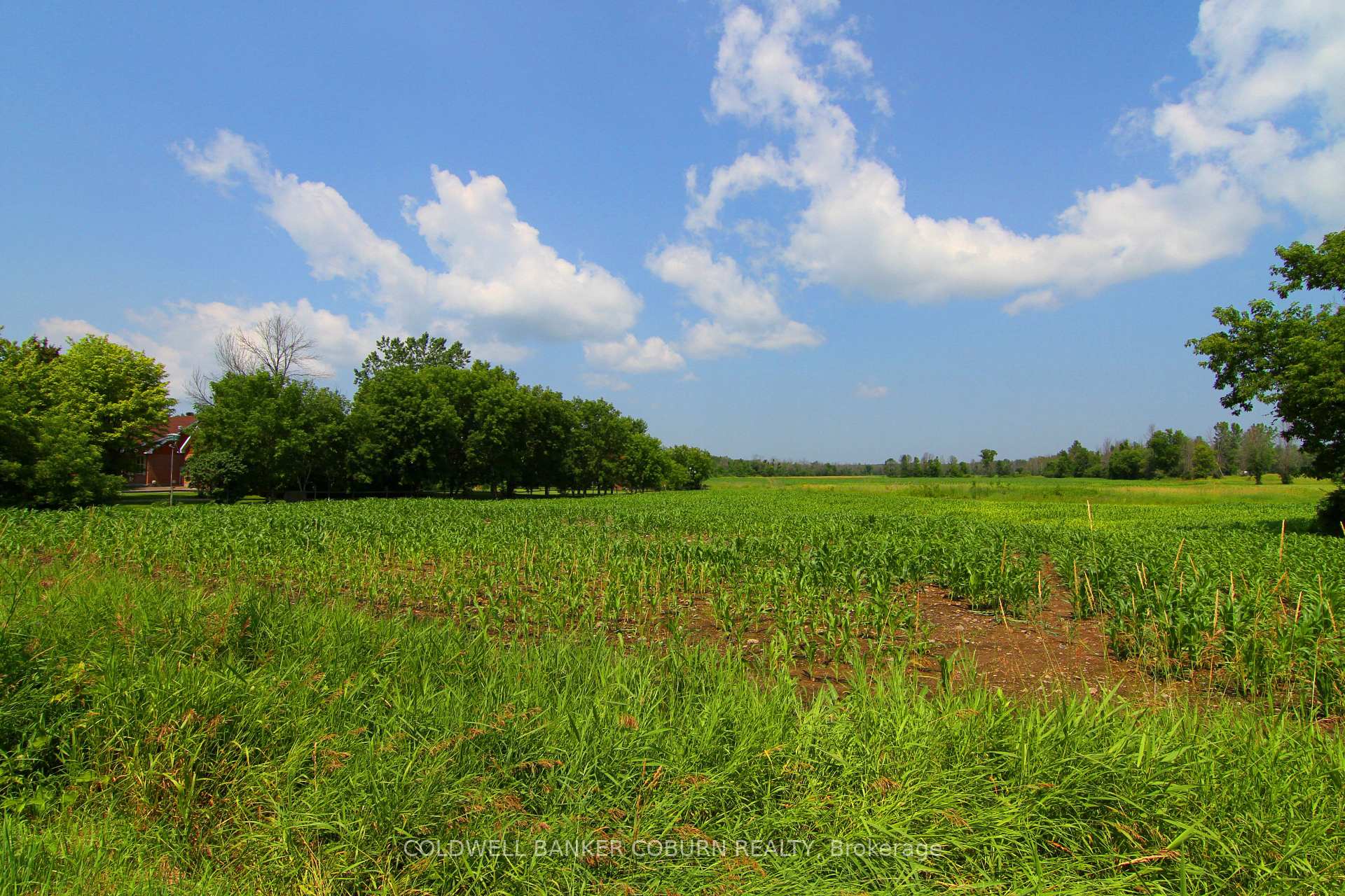 Photo 13 of Nudell Bush Road, South Dundas, South Dundas (Williamsburgh) Twp — HOMEH