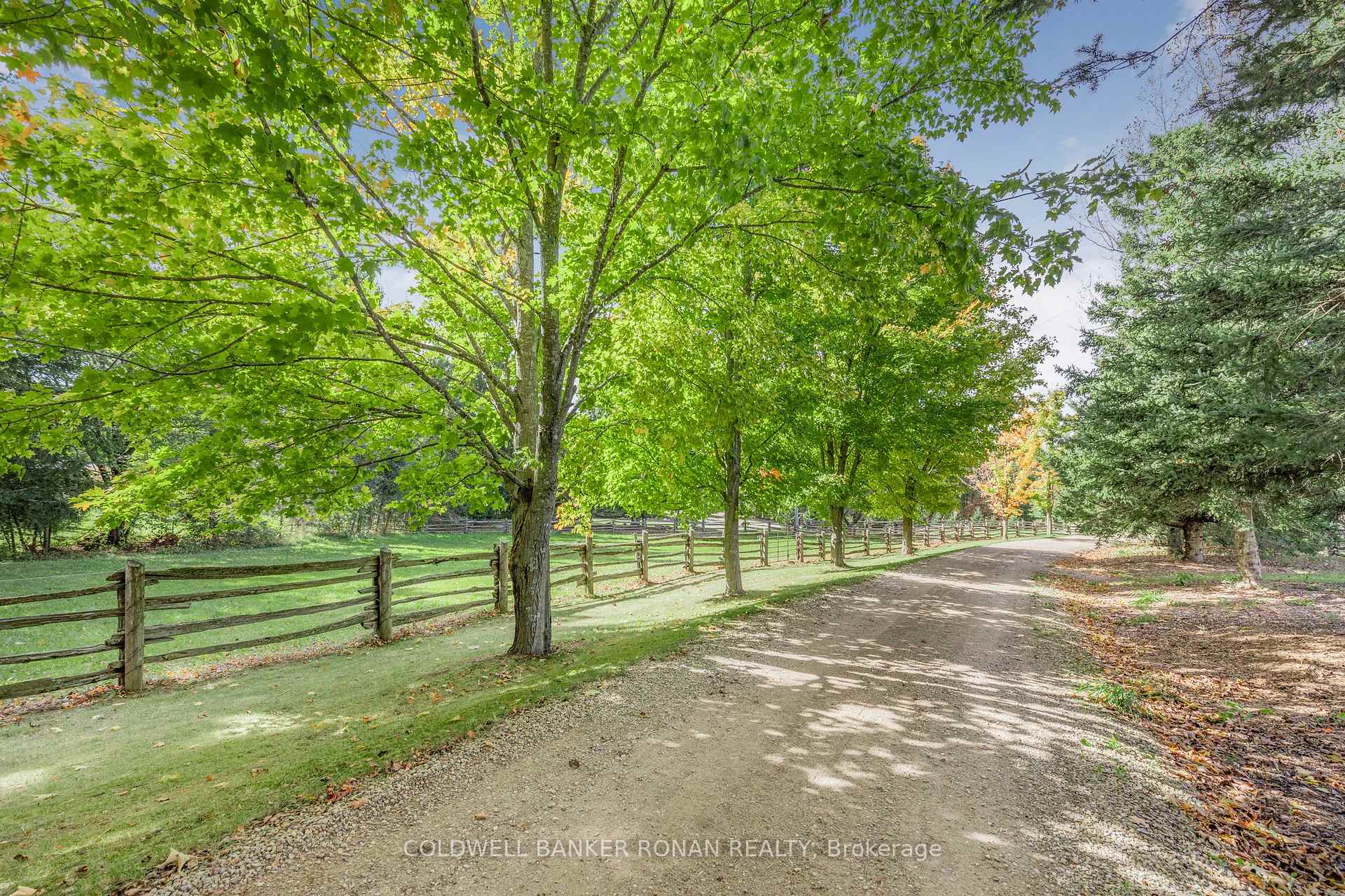 Photo 7 of 836138 4th Line E, Mulmur, Rural Mulmur — HOMEH