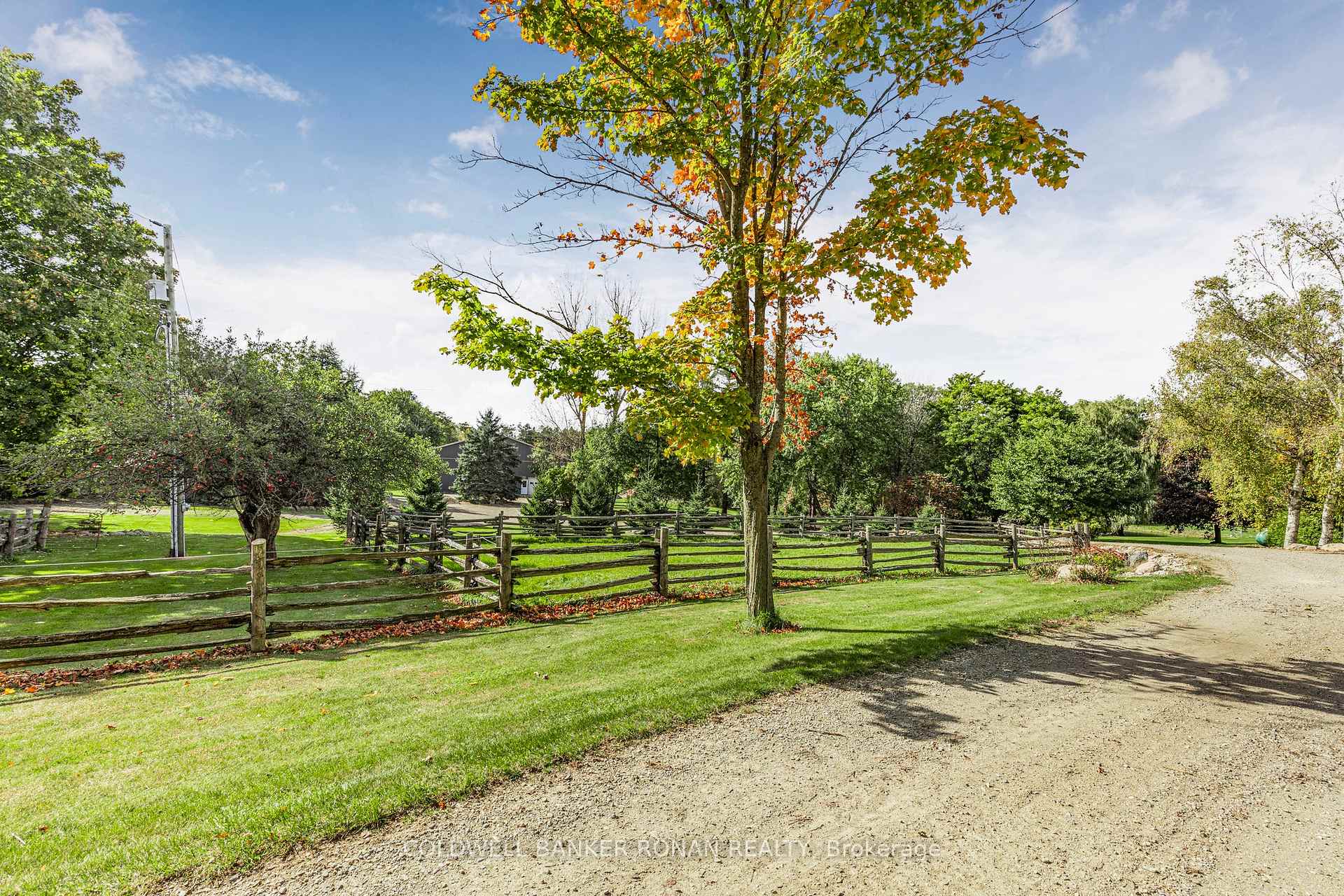 Photo 8 of 836138 4th Line E, Mulmur, Rural Mulmur — HOMEH