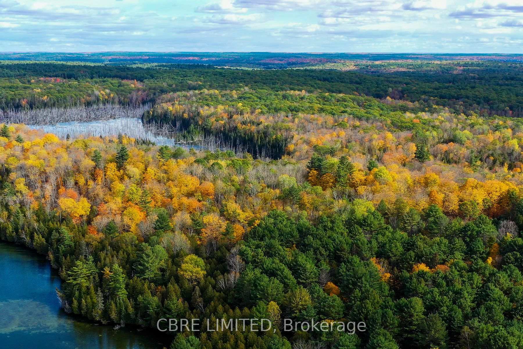 Photo 9 of 5026B Ardoch Road, North Frontenac, Frontenac North — HOMEH
