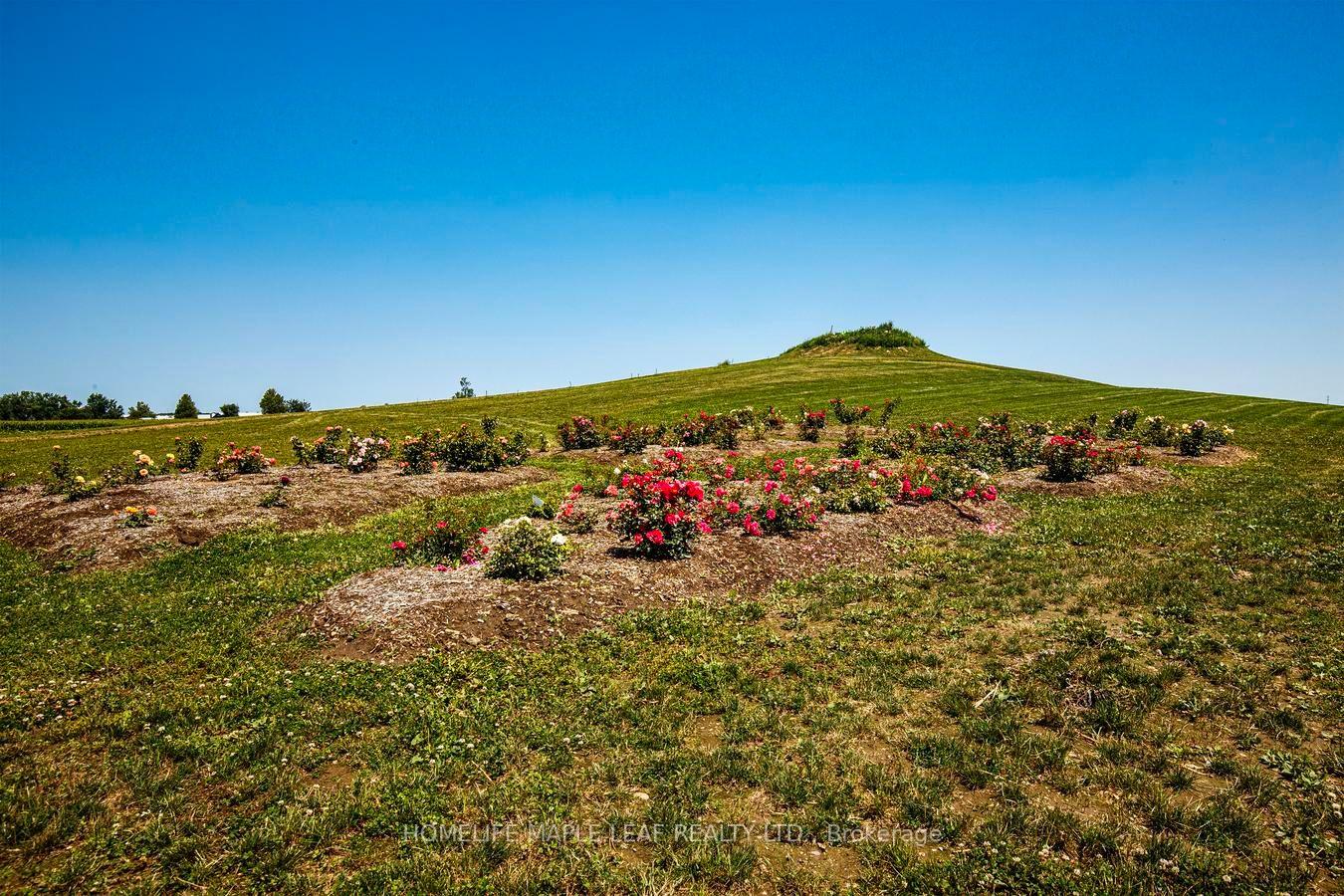 Photo 39 of 333329 7th Line, Amaranth, Rural Amaranth — HOMEH