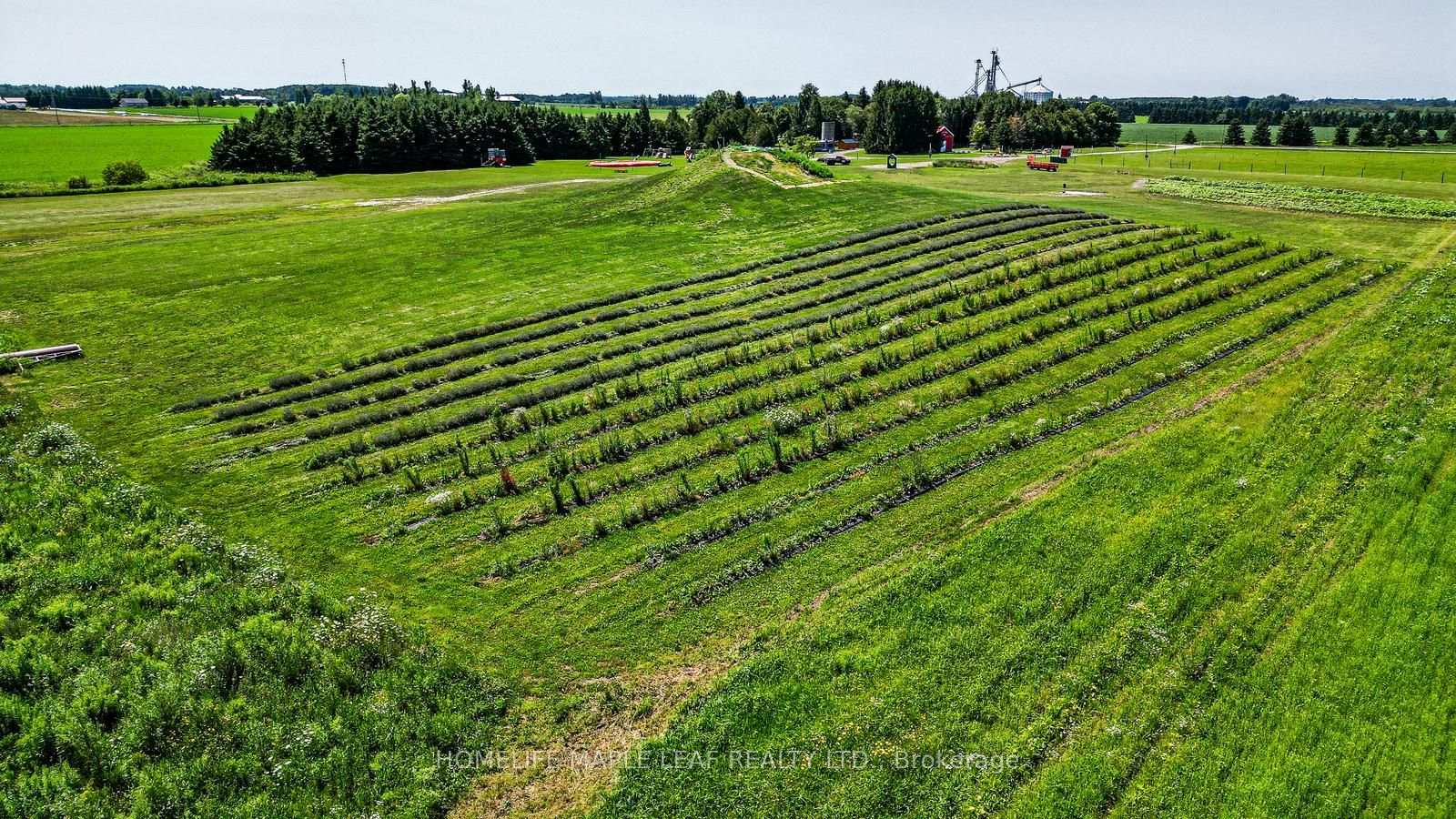 Photo 49 of 333329 7th Line, Amaranth, Rural Amaranth — HOMEH