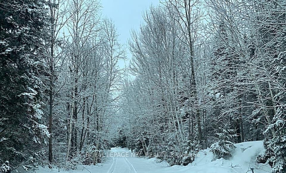Photo 18 of 131 highway 575 Road, West Nipissing, Verner — HOMEH