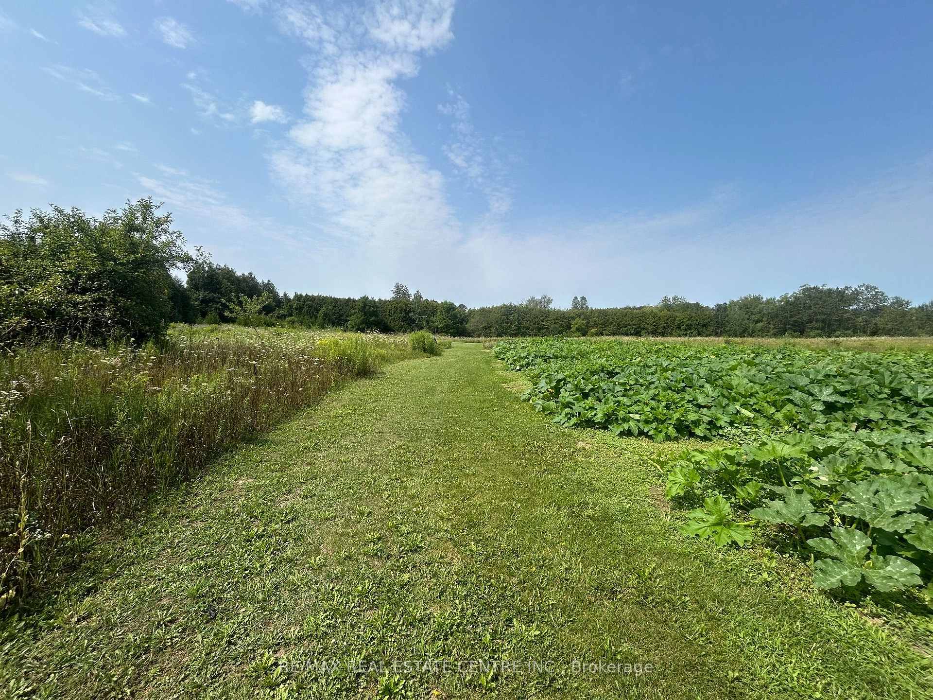 Photo 5 of 20 Sideroad N, Puslinch, Crieff/Aikensville/Killean — HOMEH