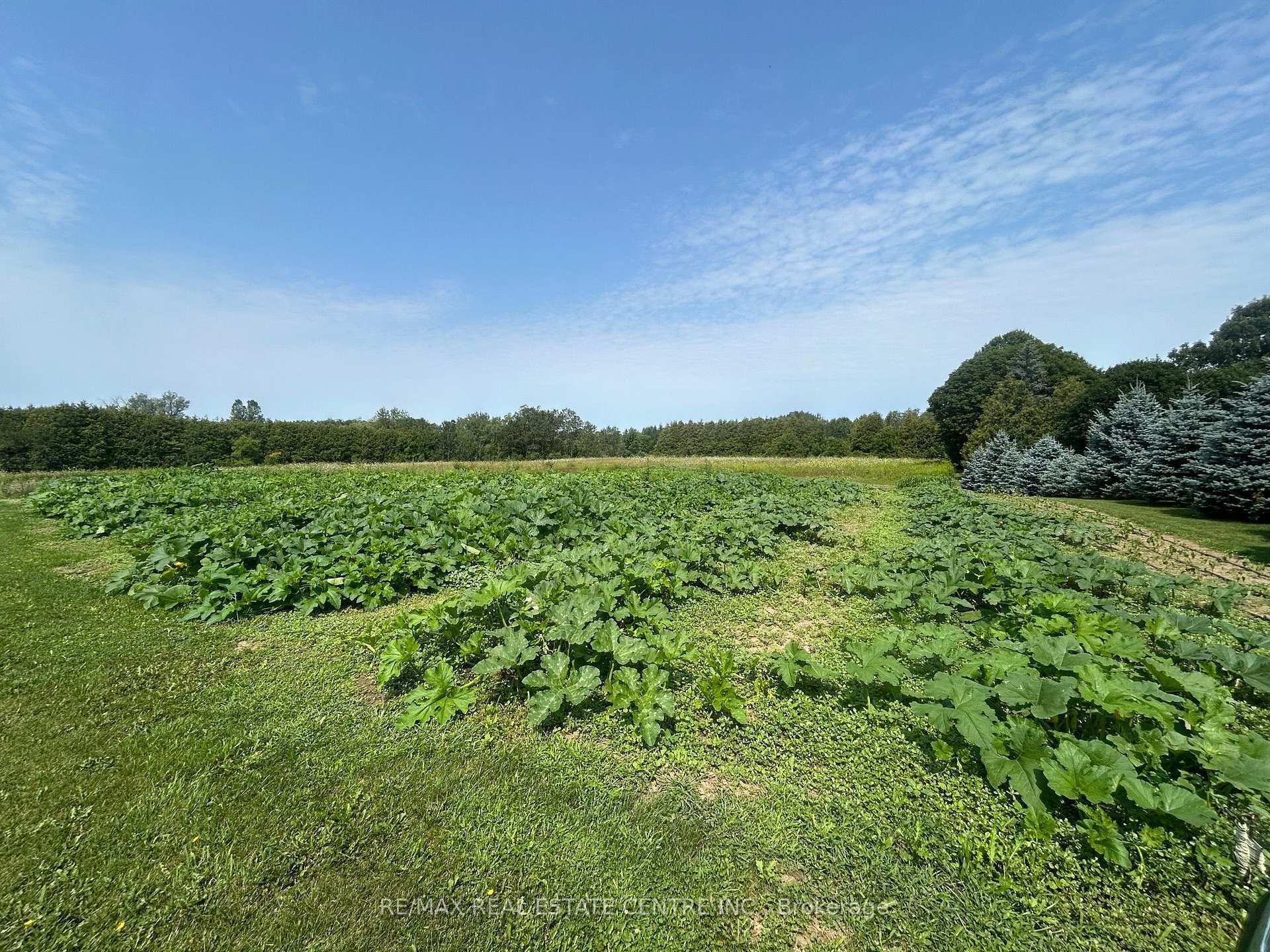 Photo 6 of 20 Sideroad N, Puslinch, Crieff/Aikensville/Killean — HOMEH