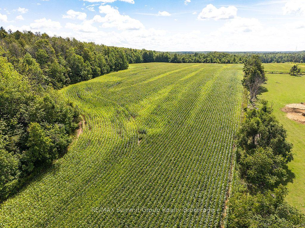 Photo 2 of 449686 10th Concession Road, Grey Highlands — HOMEH