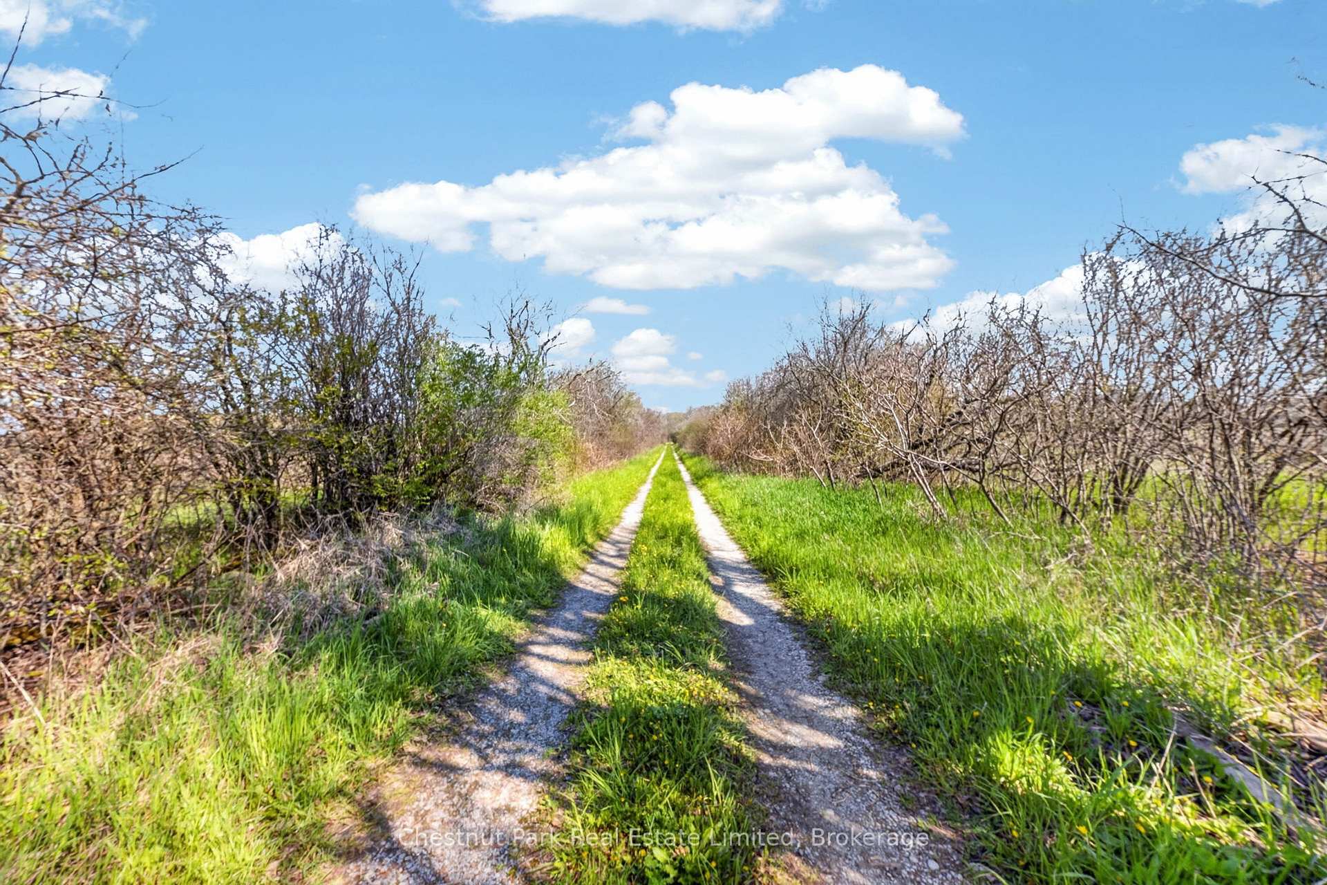 Photo 10 of 1092 Huycks Point Road, Prince Edward County, Hillier Ward — HOMEH