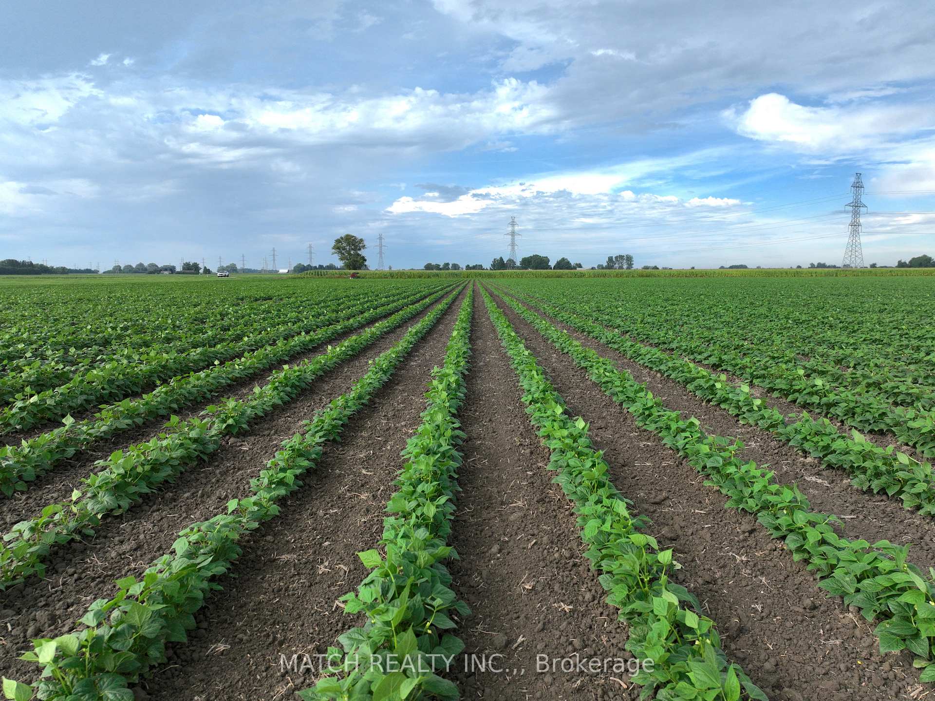 Photo of 0 White Road