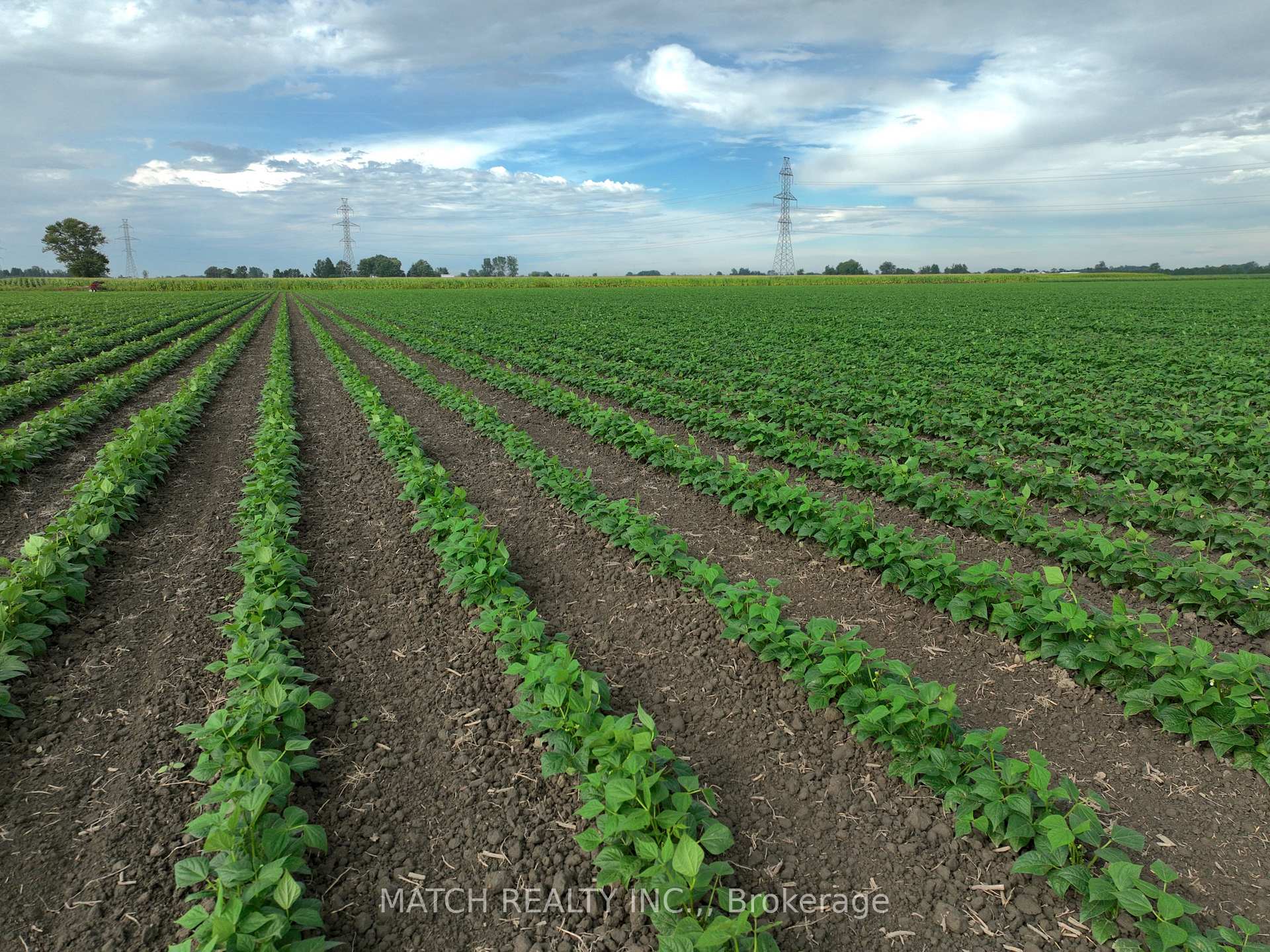Photo 2 of White Road, Chatham-Kent, Wallaceburg — HOMEH