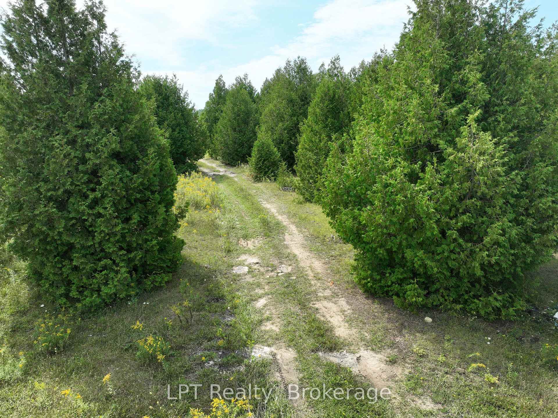 Photo 39 of 387 Spry Lake Road, South Bruce Peninsula — HOMEH
