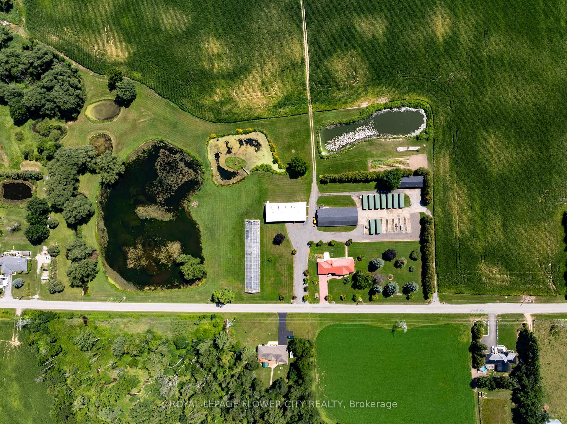 Photo 6 of 195 Second Concession Road, Brant, Burford — HOMEH