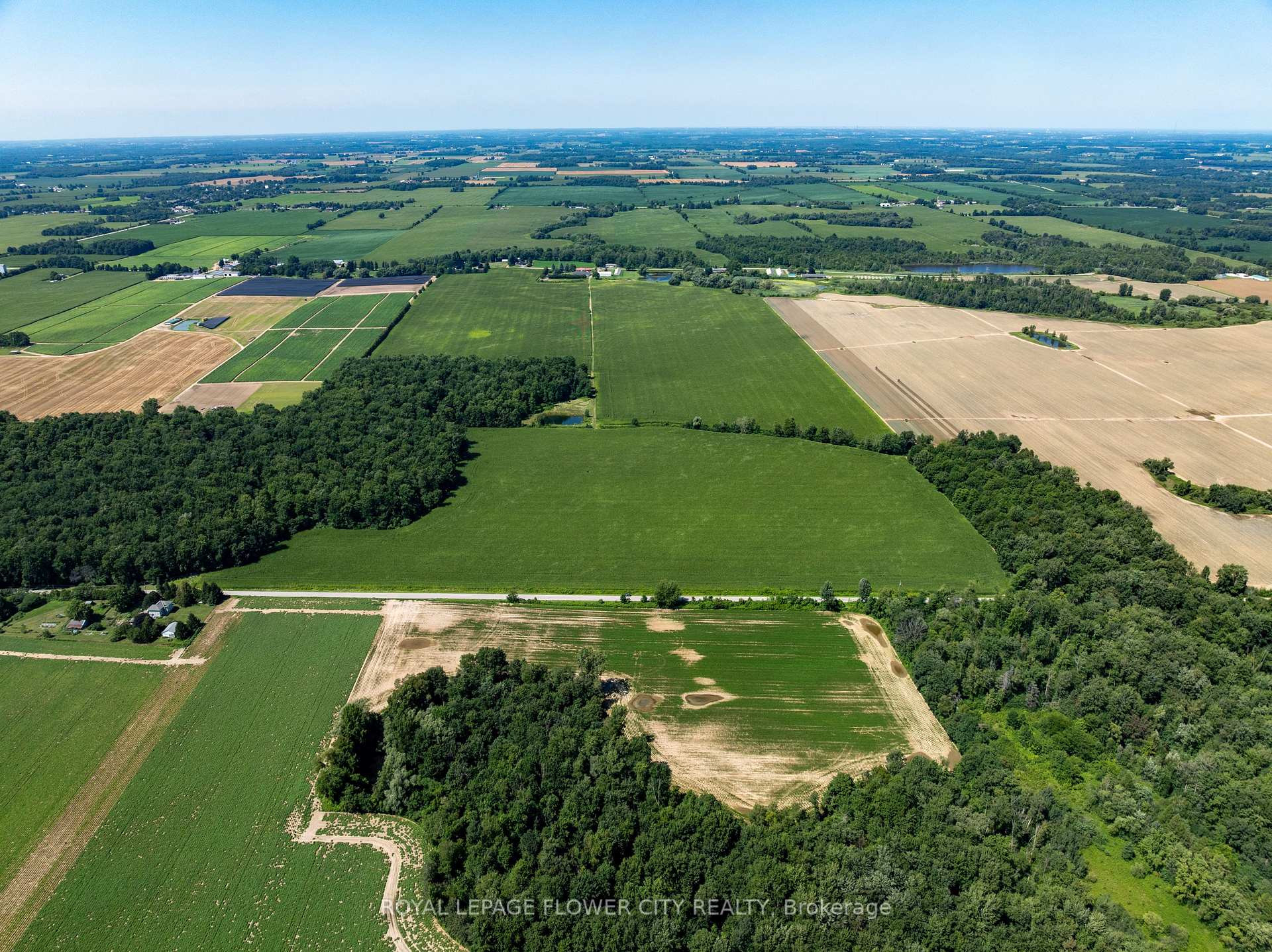 Photo 10 of 195 Second Concession Road, Brant, Burford — HOMEH