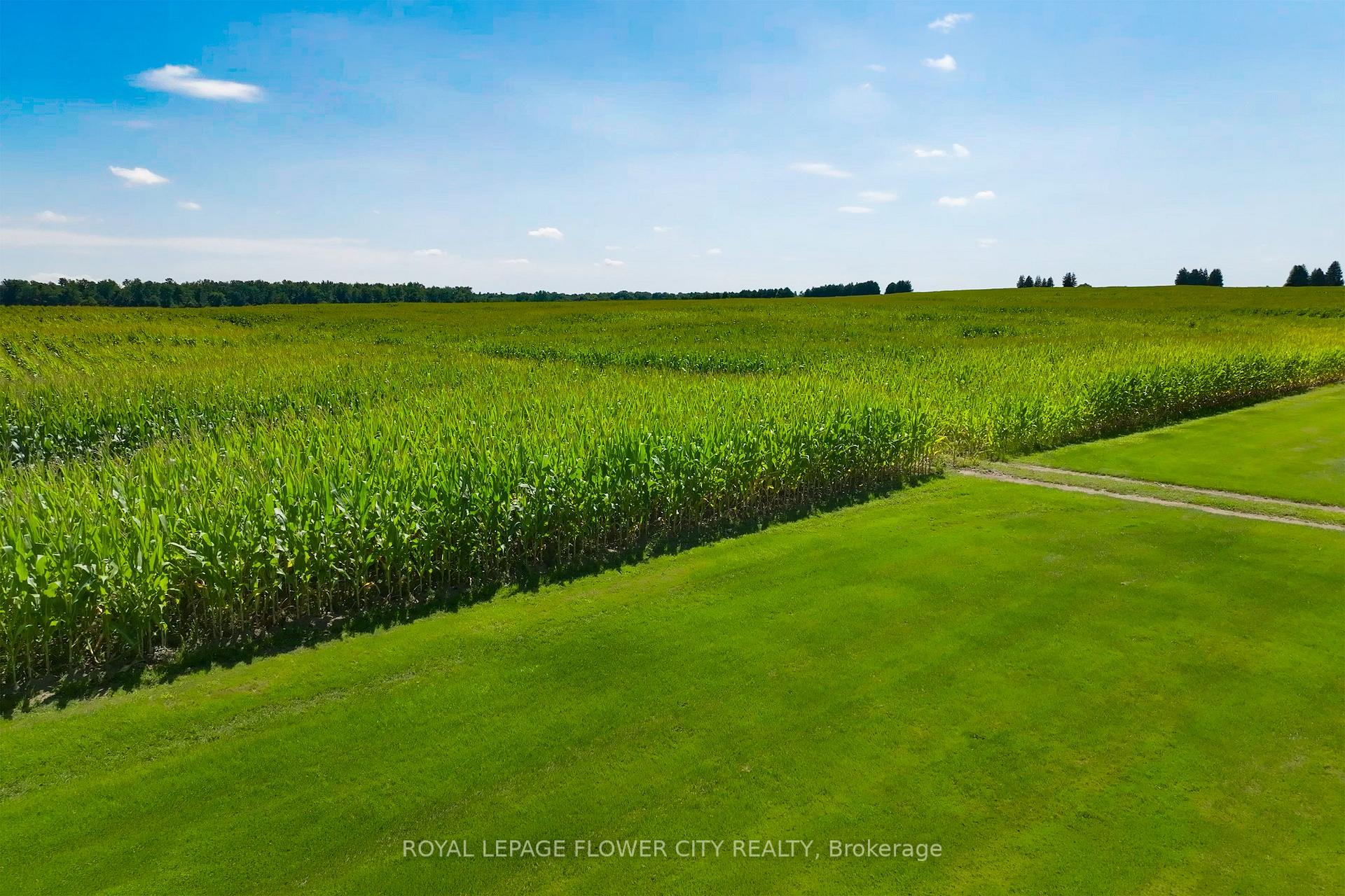 Photo 13 of 195 Second Concession Road, Brant, Burford — HOMEH