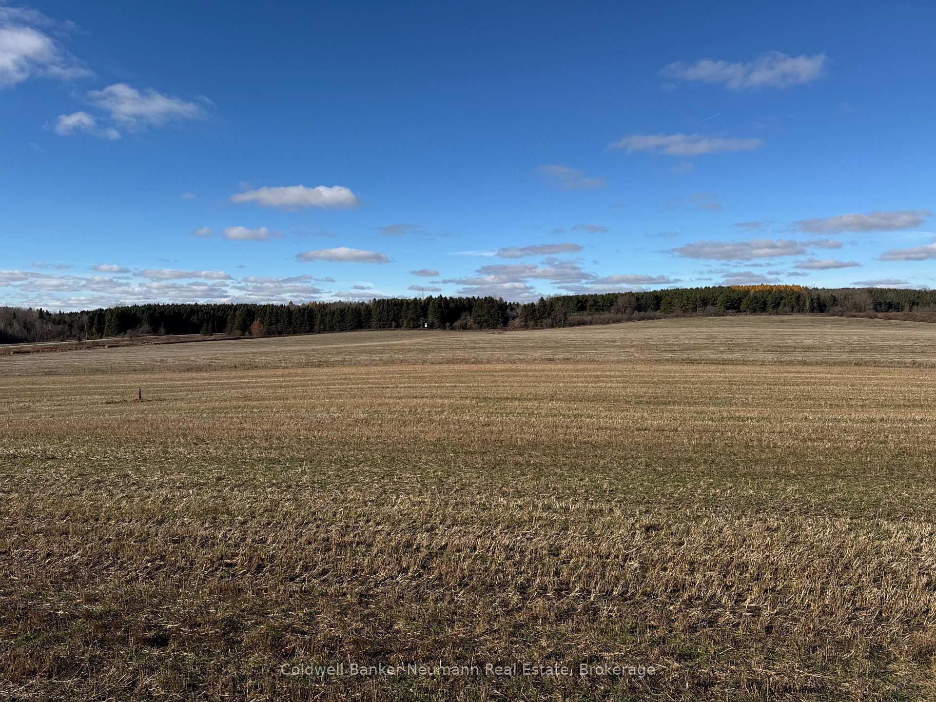 Photo 5 of 6641 Seventh Line, Centre Wellington, Belwood — HOMEH