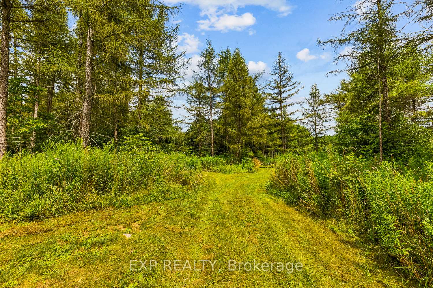 Photo 38 of 9307 Sideroad 9 Side Road, Erin, Rural Erin — HOMEH