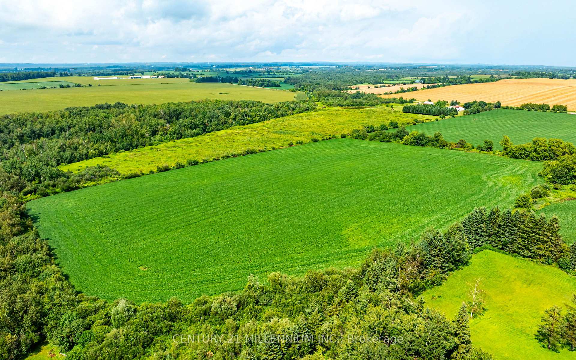 Photo 7 of 245097 5th Side Road, Amaranth, Rural Amaranth — HOMEH