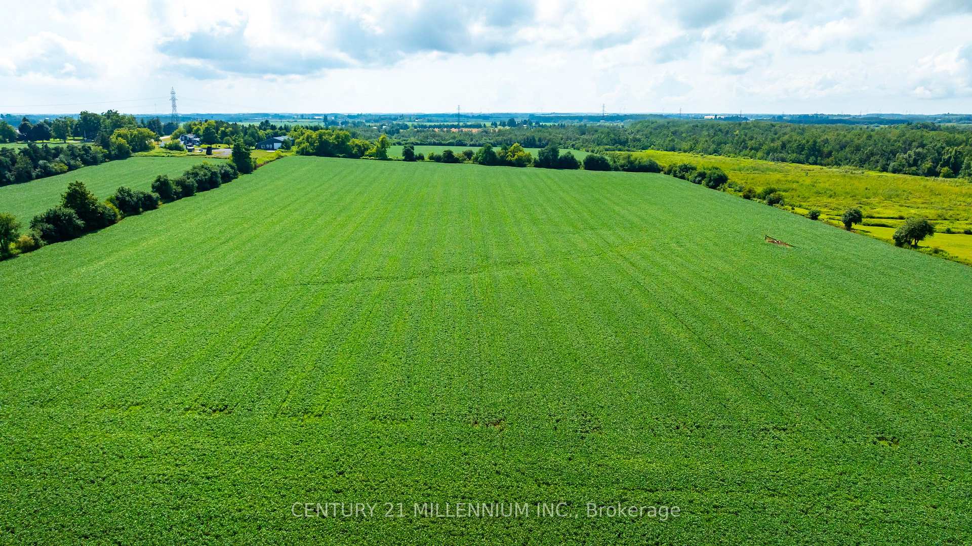 Photo 11 of 245097 5th Side Road, Amaranth, Rural Amaranth — HOMEH