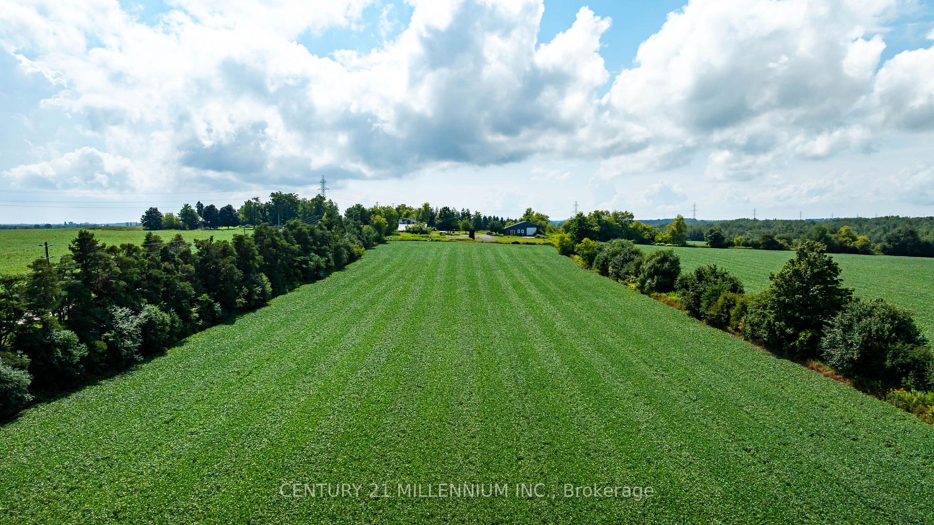 Photo 12 of 245097 5th Side Road, Amaranth, Rural Amaranth — HOMEH