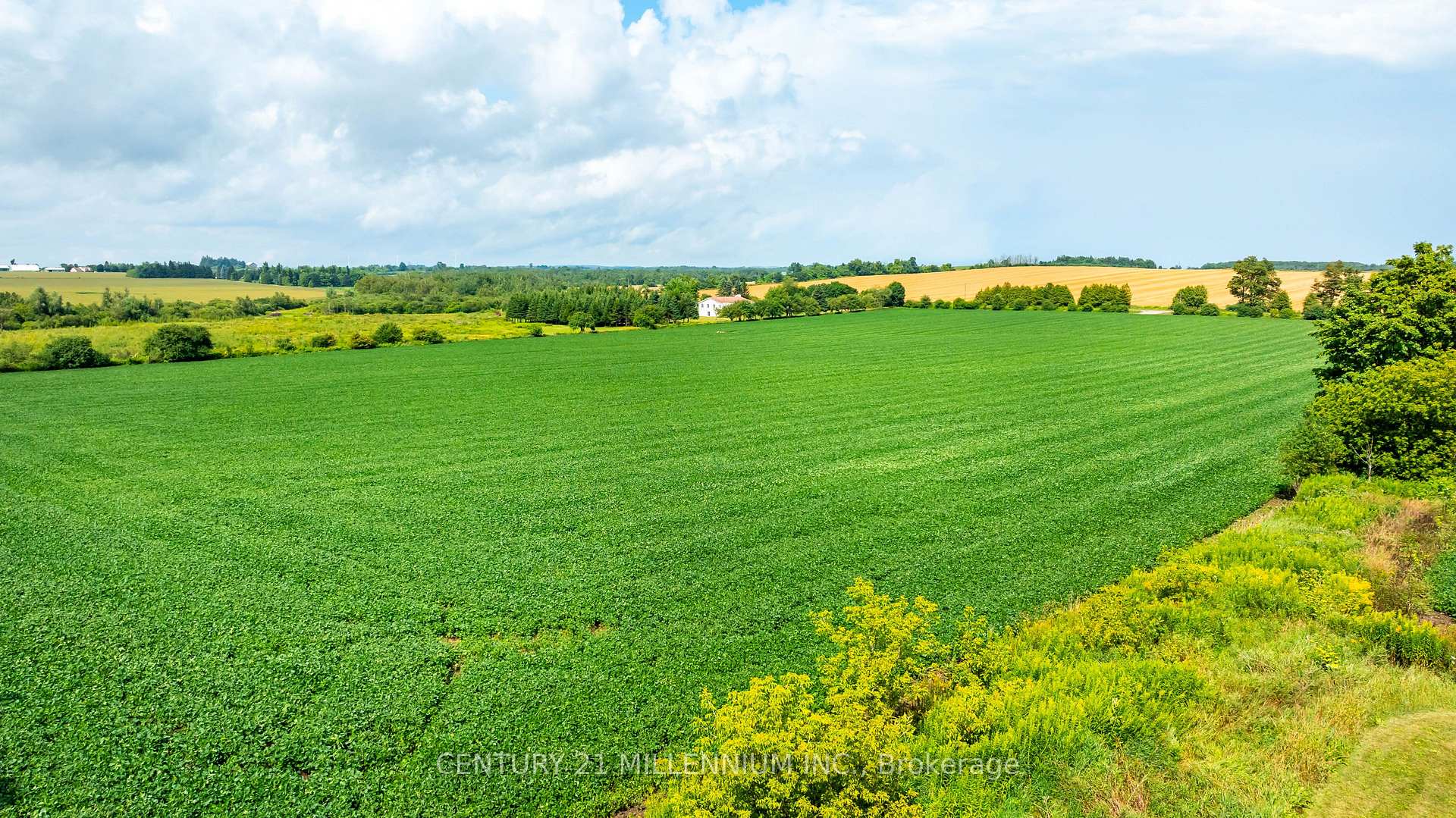 Photo 13 of 245097 5th Side Road, Amaranth, Rural Amaranth — HOMEH