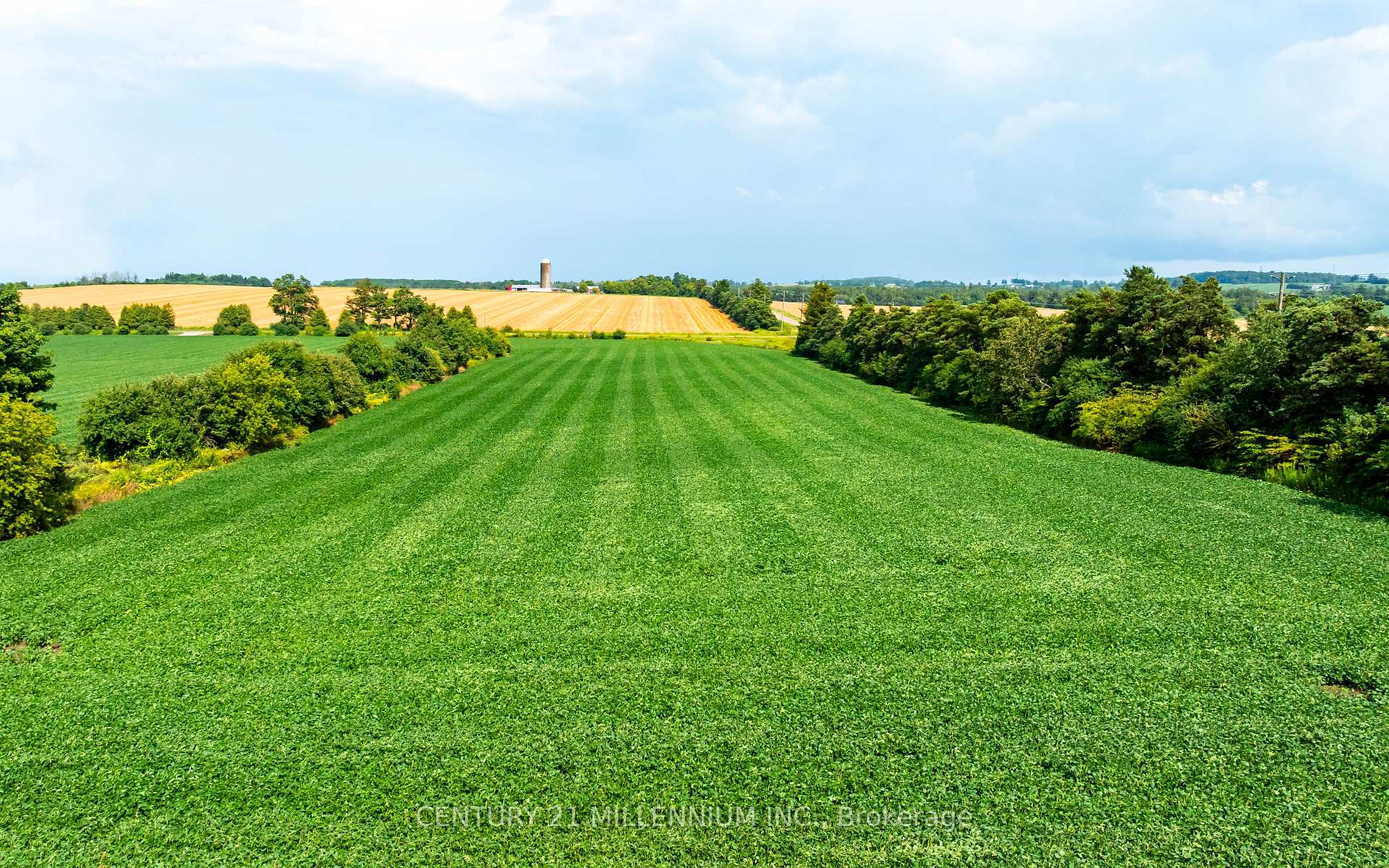 Photo 14 of 245097 5th Side Road, Amaranth, Rural Amaranth — HOMEH