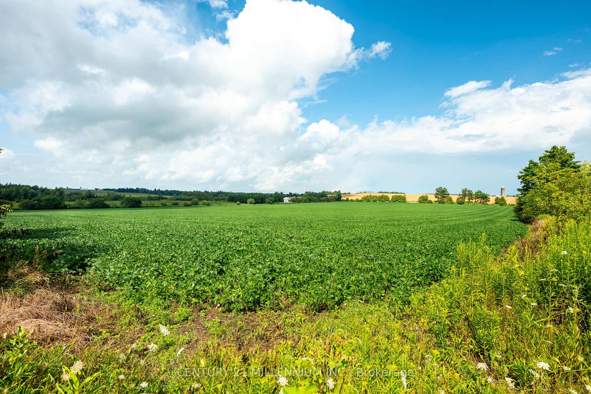 Photo 16 of 245097 5th Side Road, Amaranth, Rural Amaranth — HOMEH