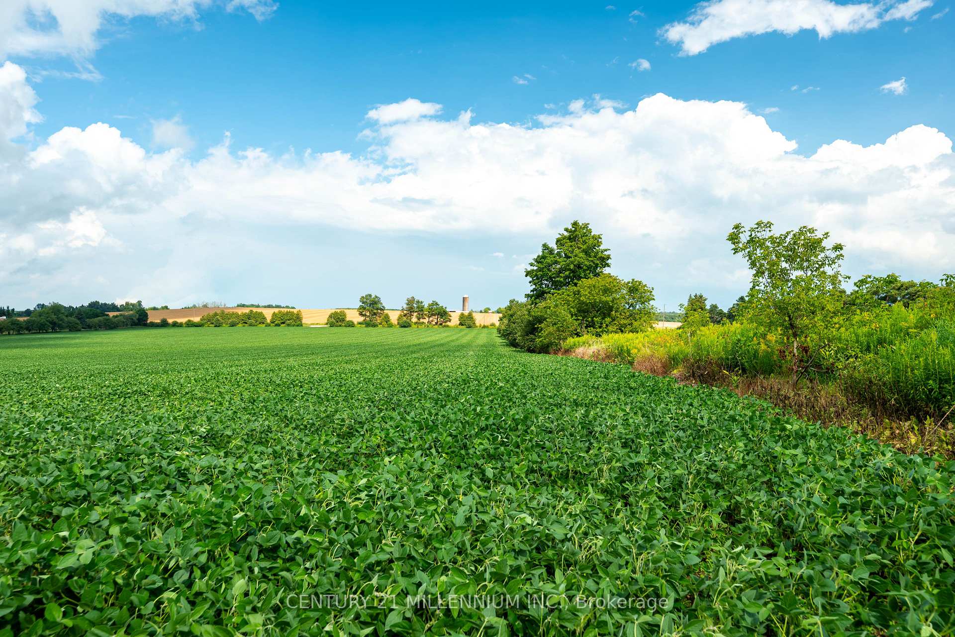 Photo 17 of 245097 5th Side Road, Amaranth, Rural Amaranth — HOMEH