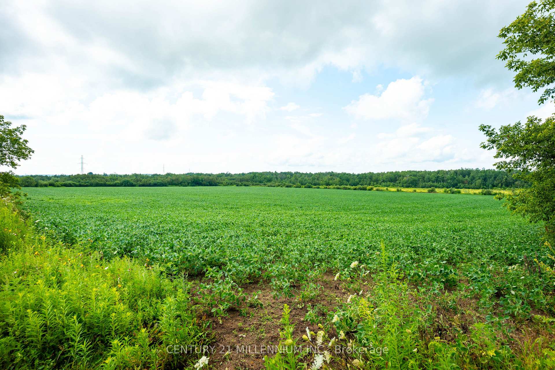 Photo 19 of 245097 5th Side Road, Amaranth, Rural Amaranth — HOMEH