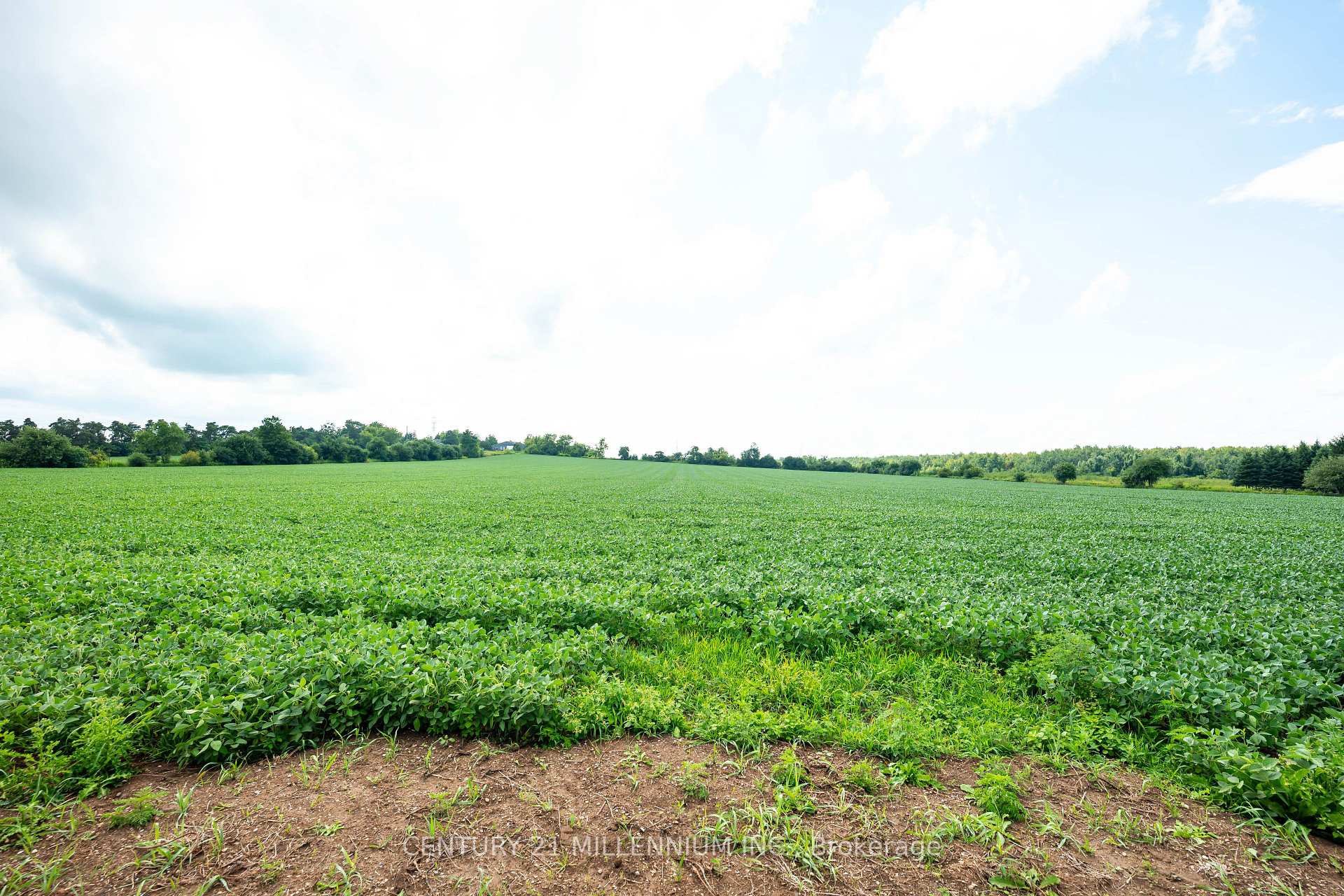 Photo 22 of 245097 5th Side Road, Amaranth, Rural Amaranth — HOMEH