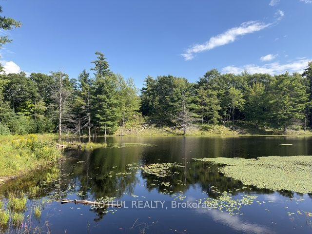 Photo 24 of 101 Maberly Station Road, Tay Valley, Bathurst/Burgess & Sherbrooke (South Sherbrooke) Twp — HOMEH