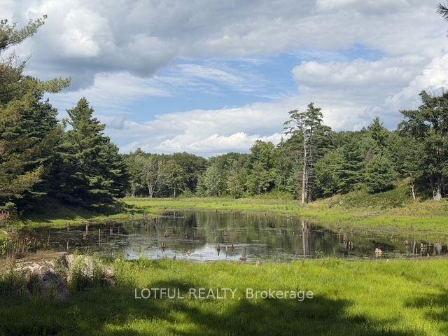 Photo 25 of 101 Maberly Station Road, Tay Valley, Bathurst/Burgess & Sherbrooke (South Sherbrooke) Twp — HOMEH