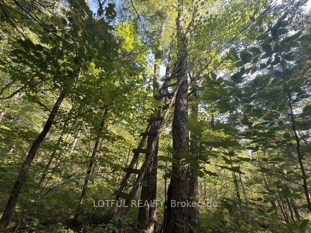 Photo 28 of 101 Maberly Station Road, Tay Valley, Bathurst/Burgess & Sherbrooke (South Sherbrooke) Twp — HOMEH