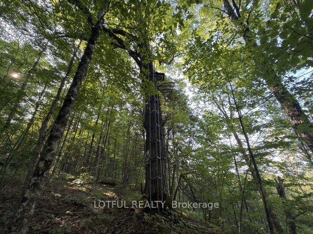 Photo 29 of 101 Maberly Station Road, Tay Valley, Bathurst/Burgess & Sherbrooke (South Sherbrooke) Twp — HOMEH
