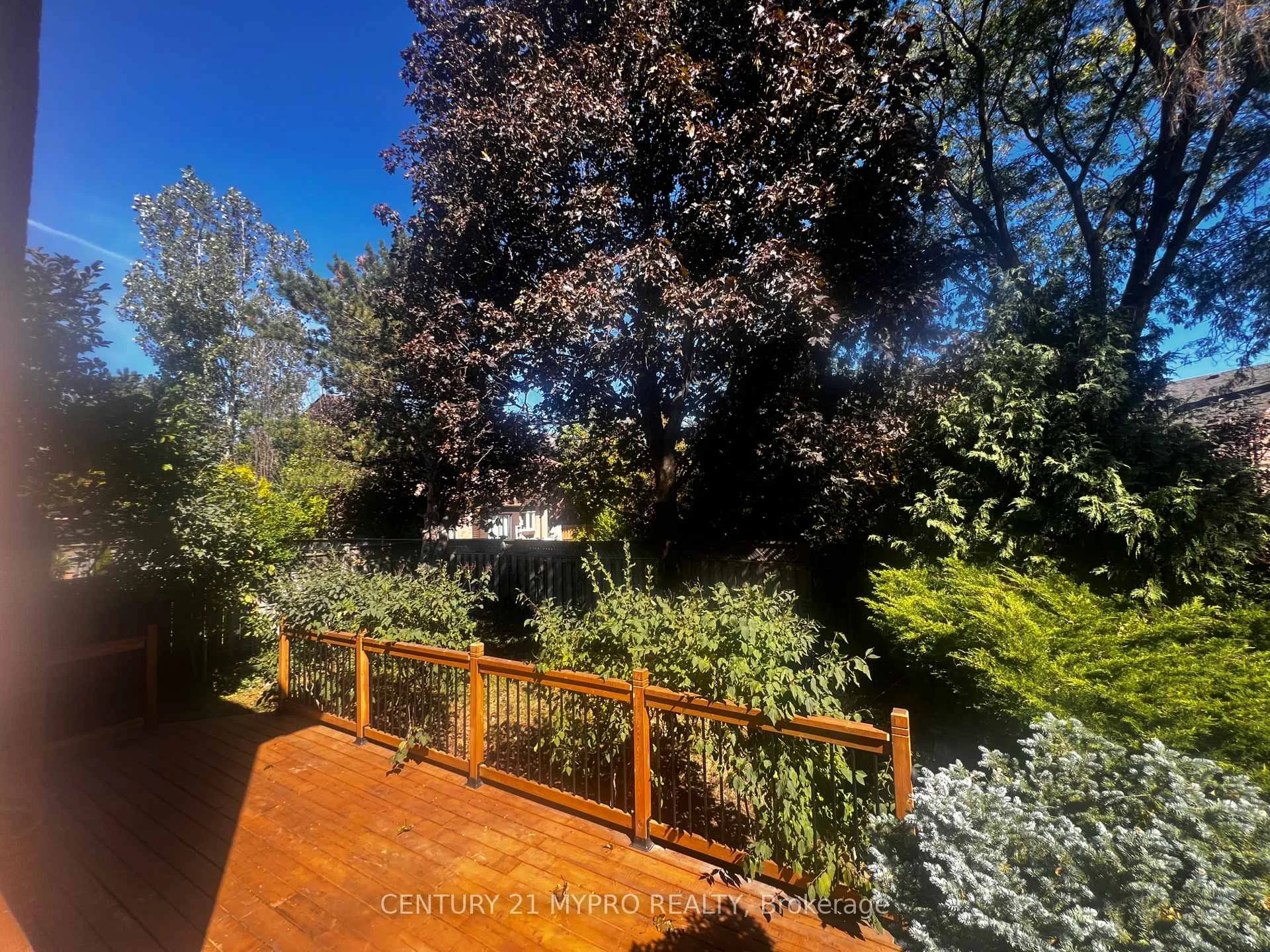 Photo 44 of 163 Romain Crescent, Oakville, College Park — HOMEH