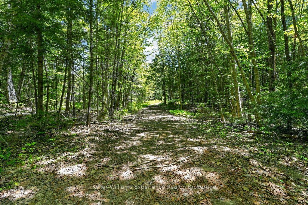 Photo 7 of 1077 Holiday Park Drive, Bracebridge, Macaulay — HOMEH