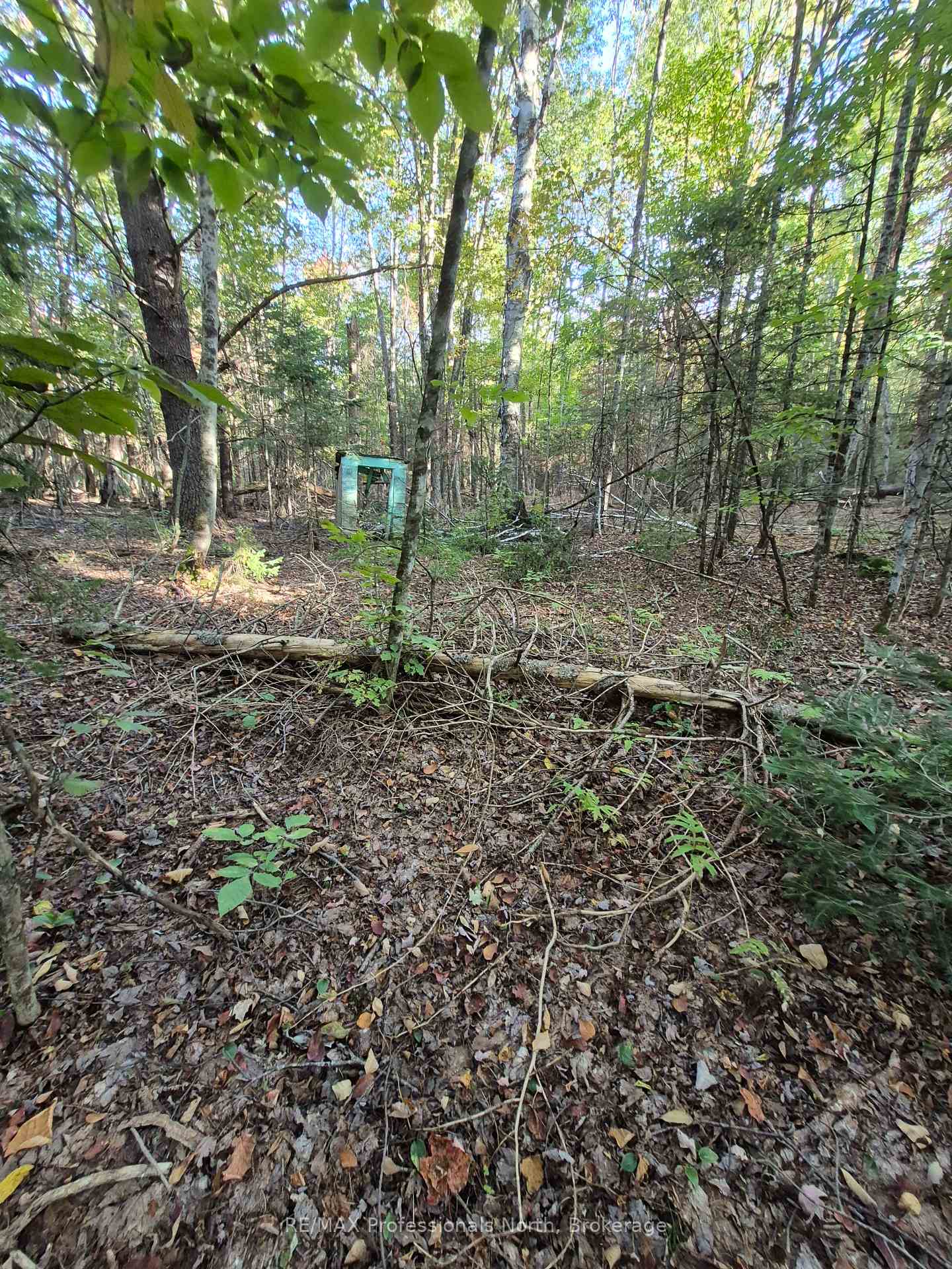 Photo 3 of 1257 Hamilton Road, Minden Hills, Snowdon — HOMEH