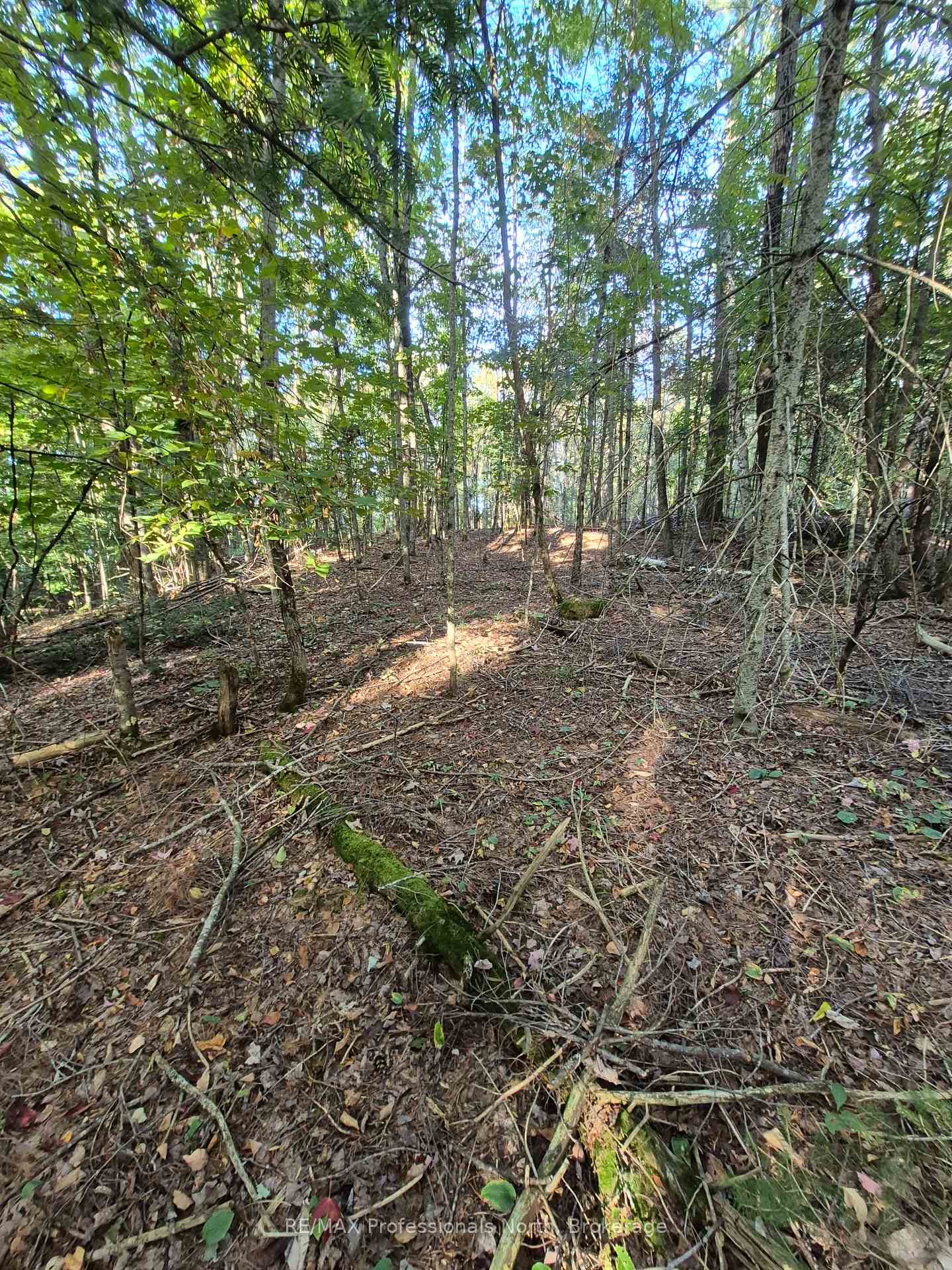 Photo 2 of 1257 Hamilton Road, Minden Hills, Snowdon — HOMEH
