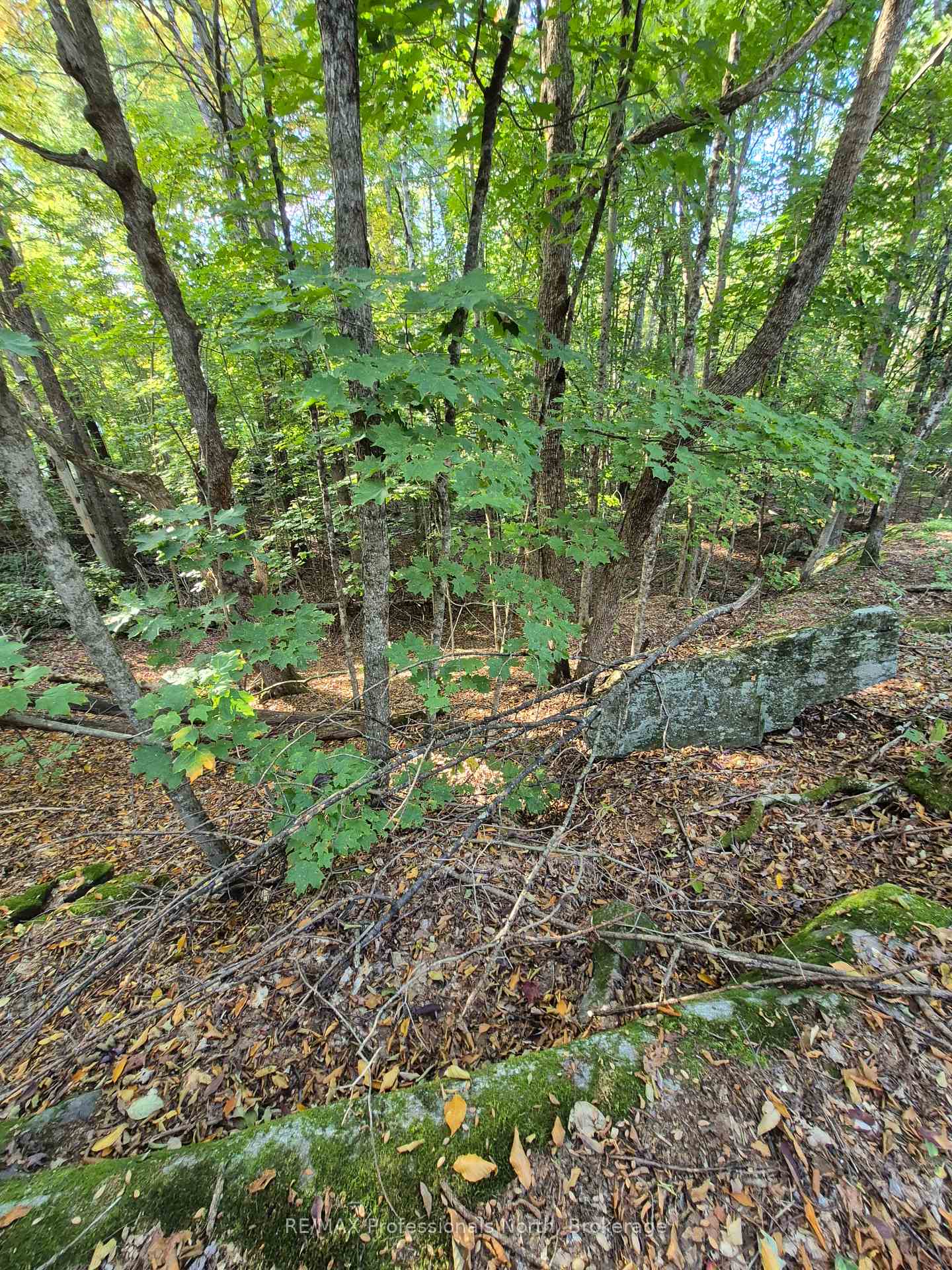 Photo 4 of 1257 Hamilton Road, Minden Hills, Snowdon — HOMEH