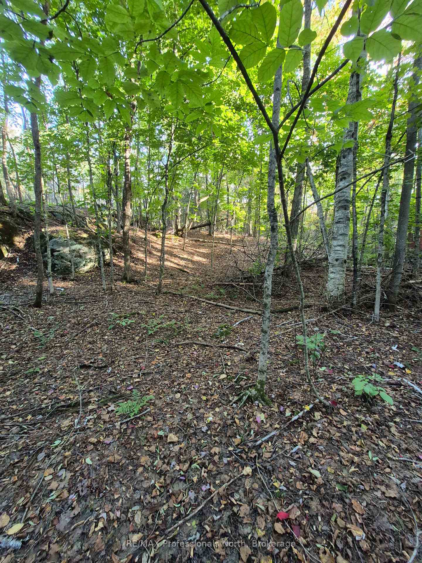 Photo 6 of 1257 Hamilton Road, Minden Hills, Snowdon — HOMEH