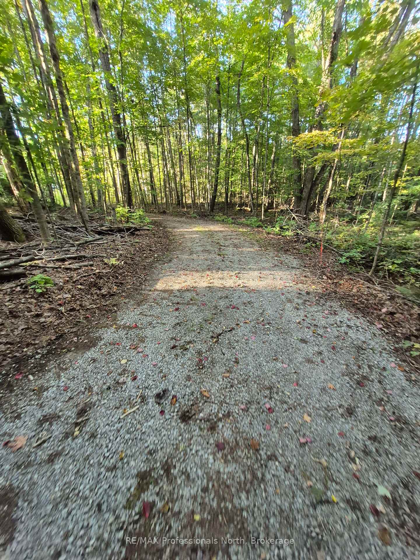 Photo 11 of 1257 Hamilton Road, Minden Hills, Snowdon — HOMEH