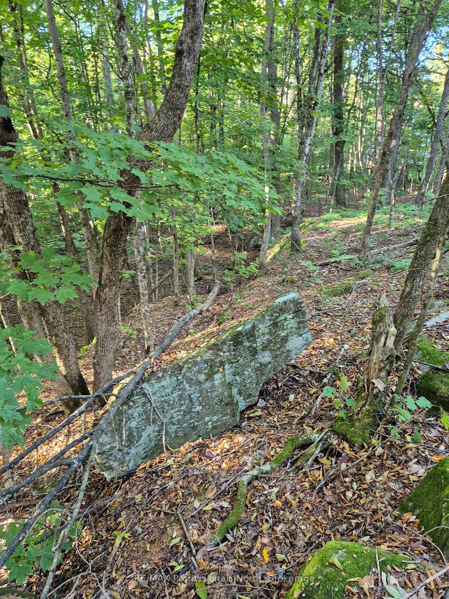 Photo 14 of 1257 Hamilton Road, Minden Hills, Snowdon — HOMEH