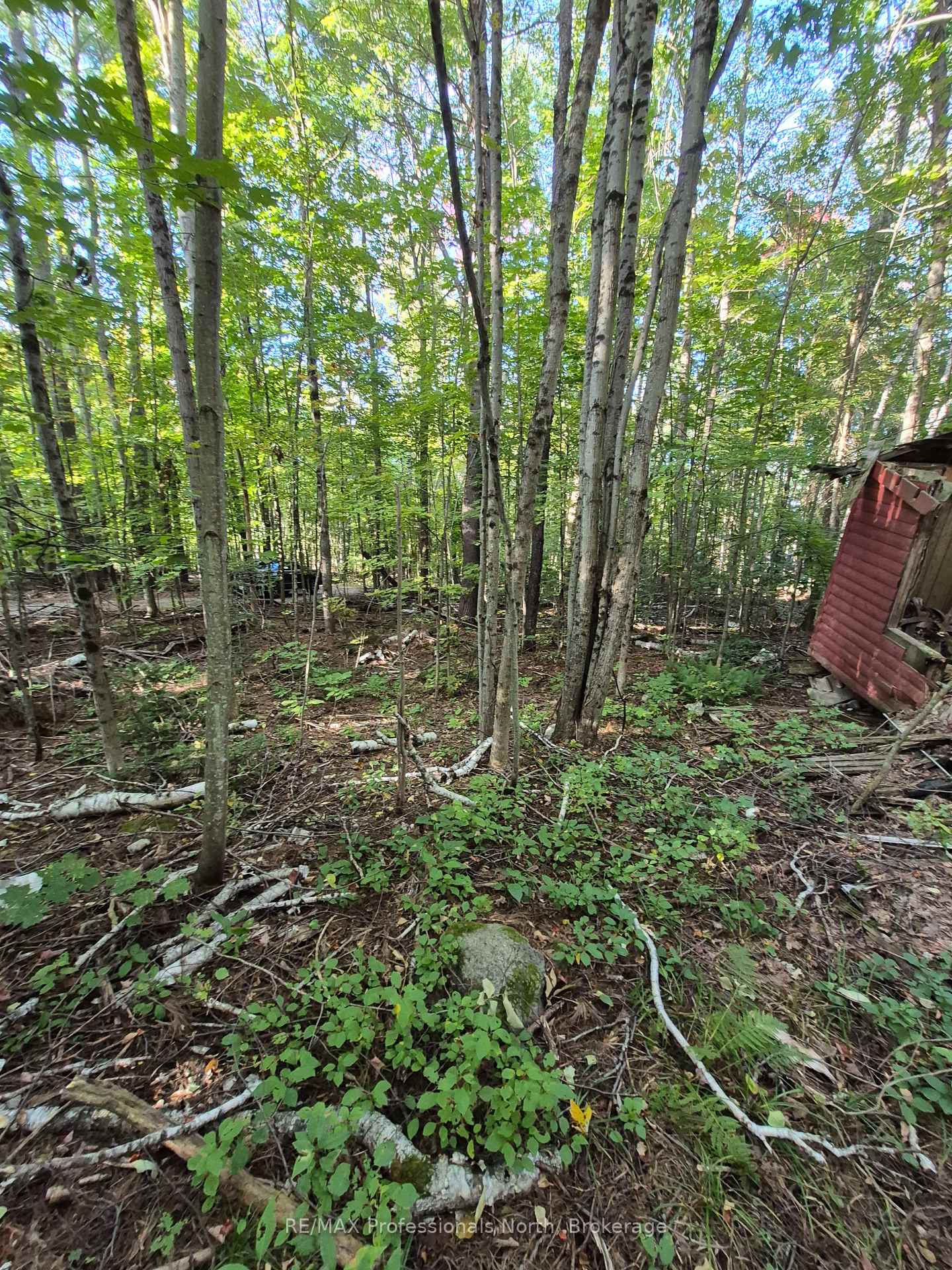 Photo 15 of 1257 Hamilton Road, Minden Hills, Snowdon — HOMEH