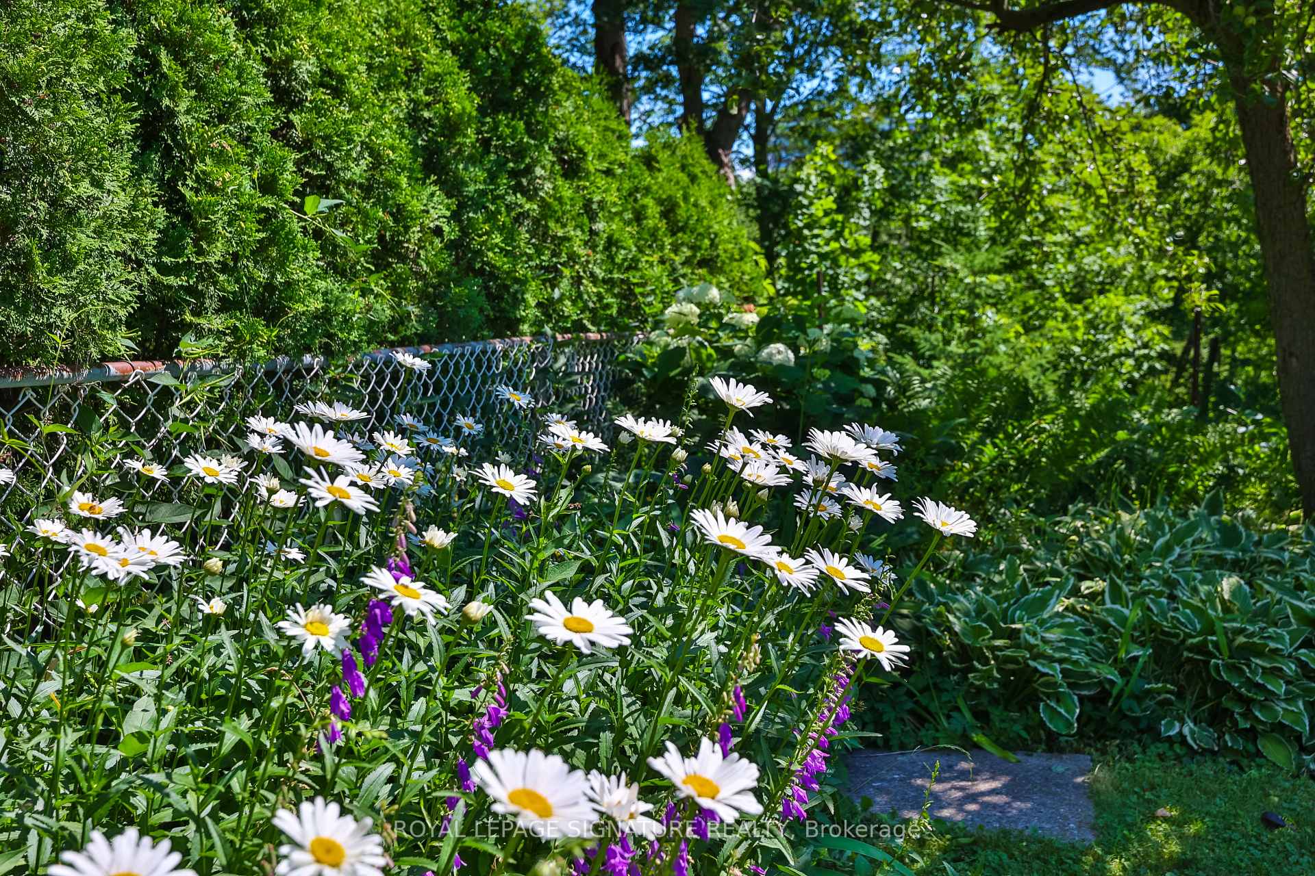 Photo 37 of 3 Presley Avenue, Scarborough, Clairlea-Birchmount — HOMEH