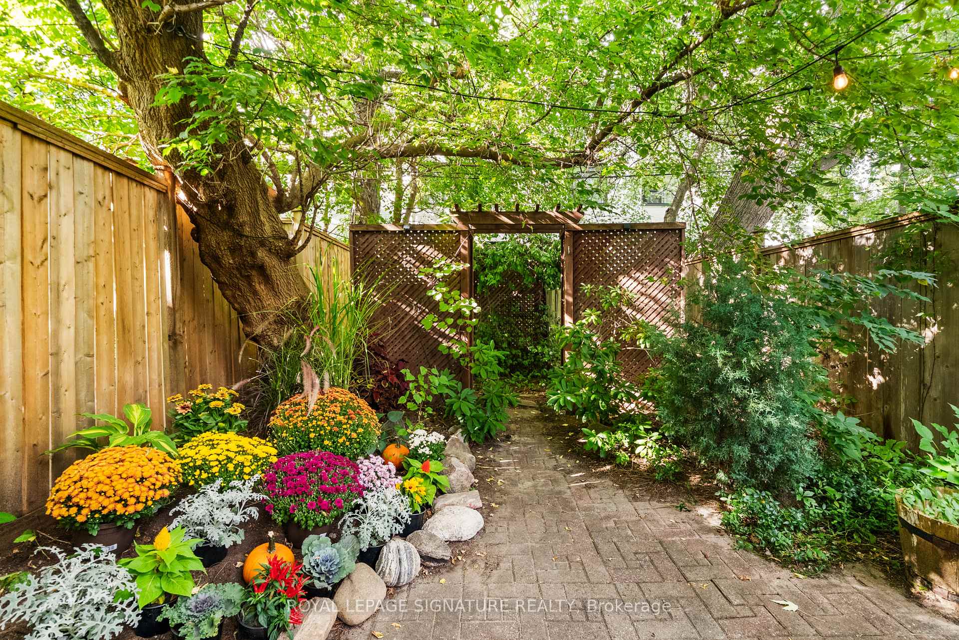 Photo 31 of 122 Duvernet Avenue, Toronto, East End-Danforth — HOMEH
